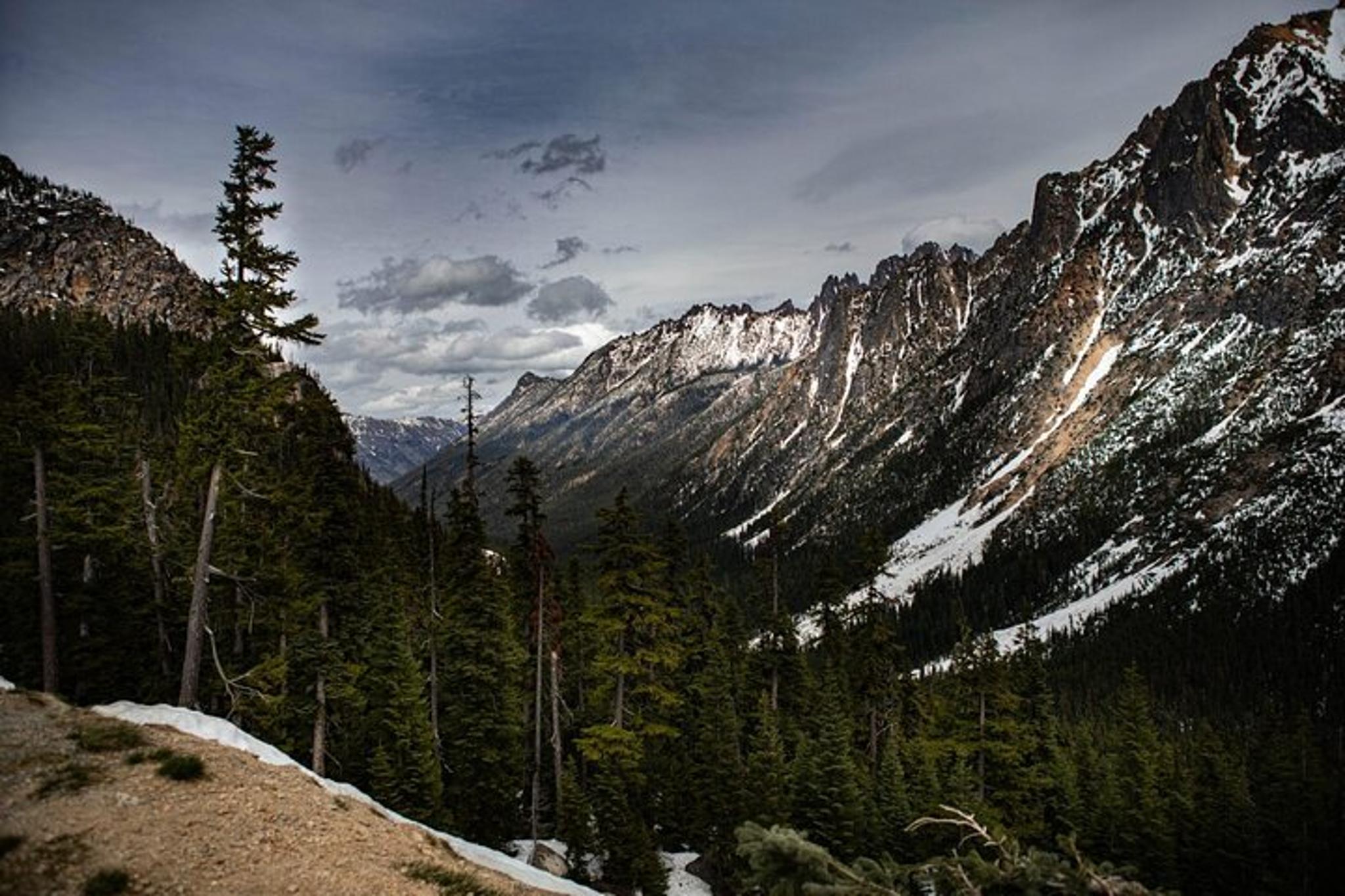 Bellingham to Winthrop Private Guided Tour - Image 3