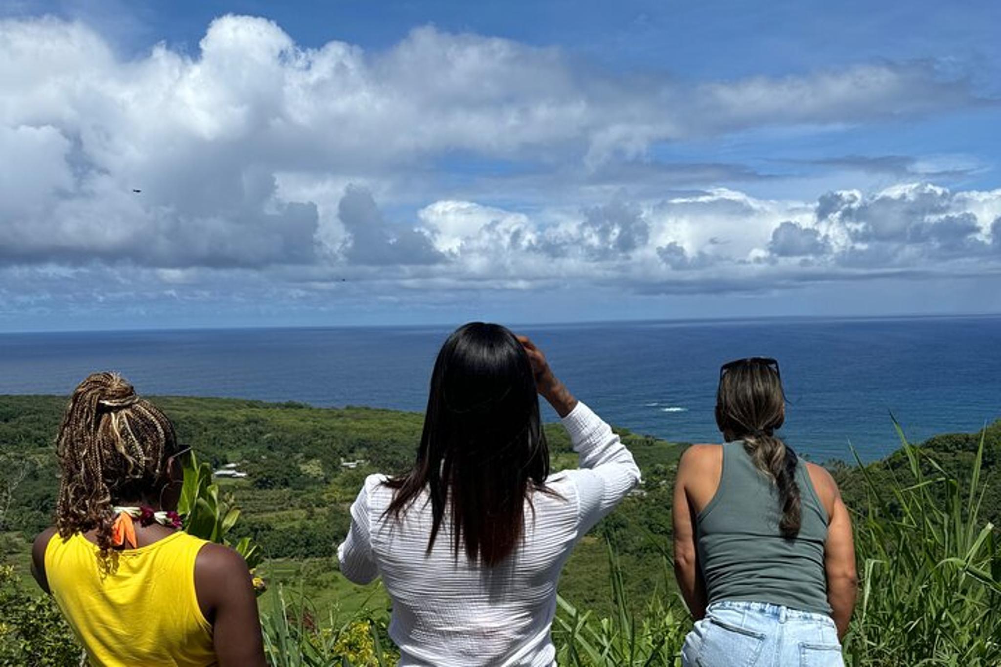 Maui Road to Hana Tour - Image 4