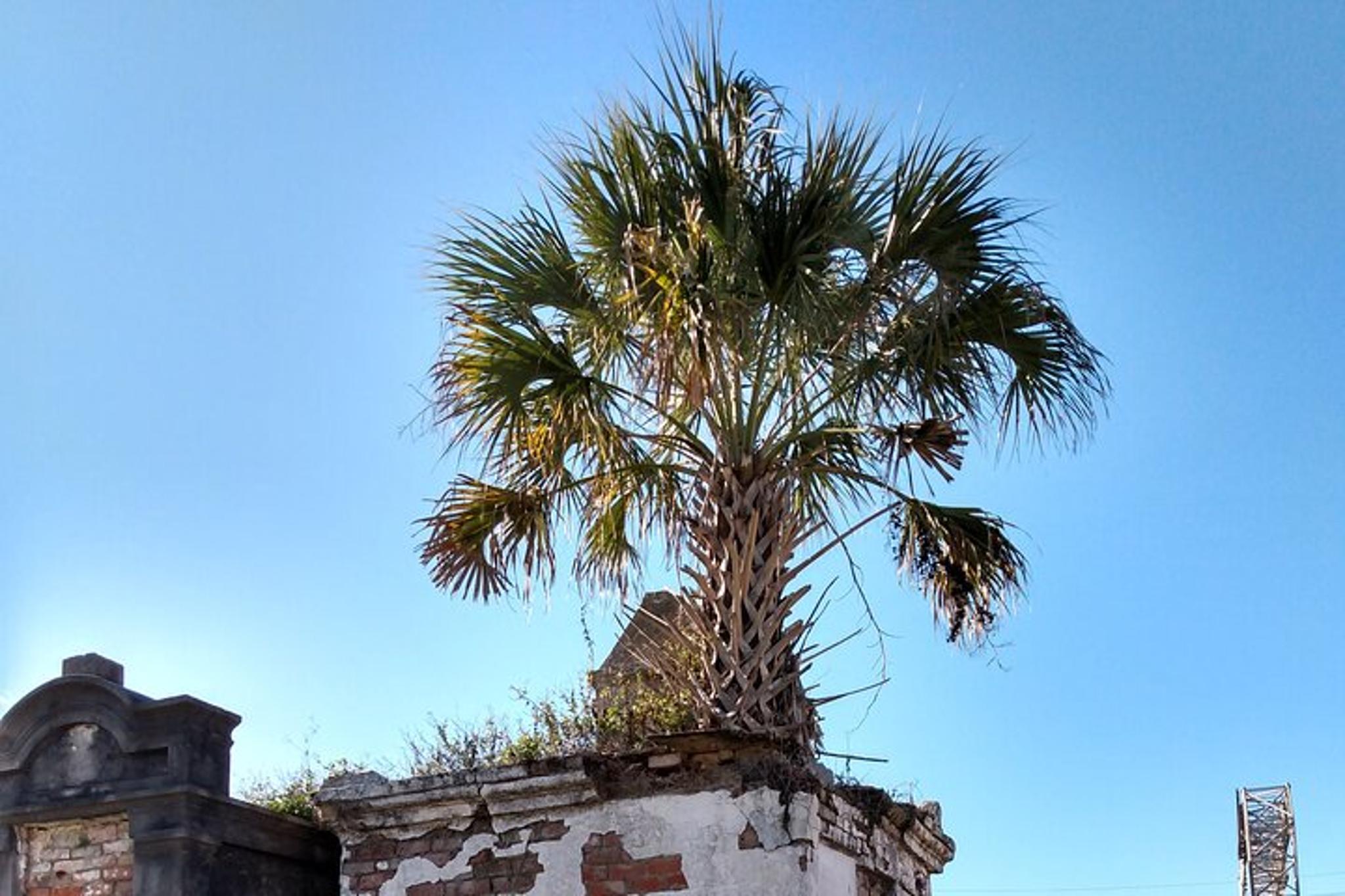 New Orleans Garden District Tour - Image 2