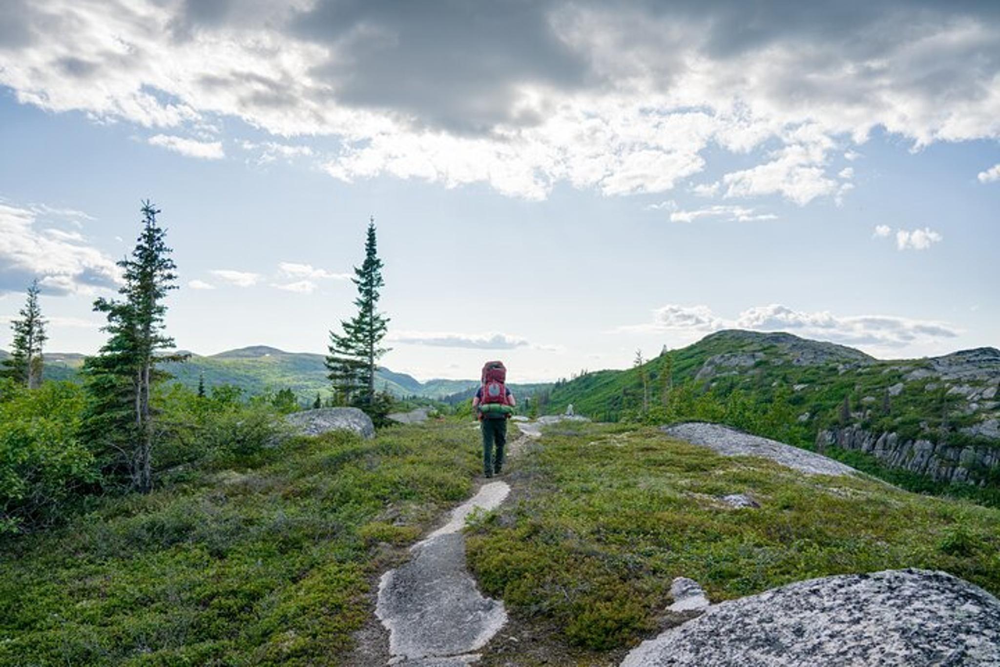 Anchorage K'esugi Ridge Backpacking Tour 4 Days