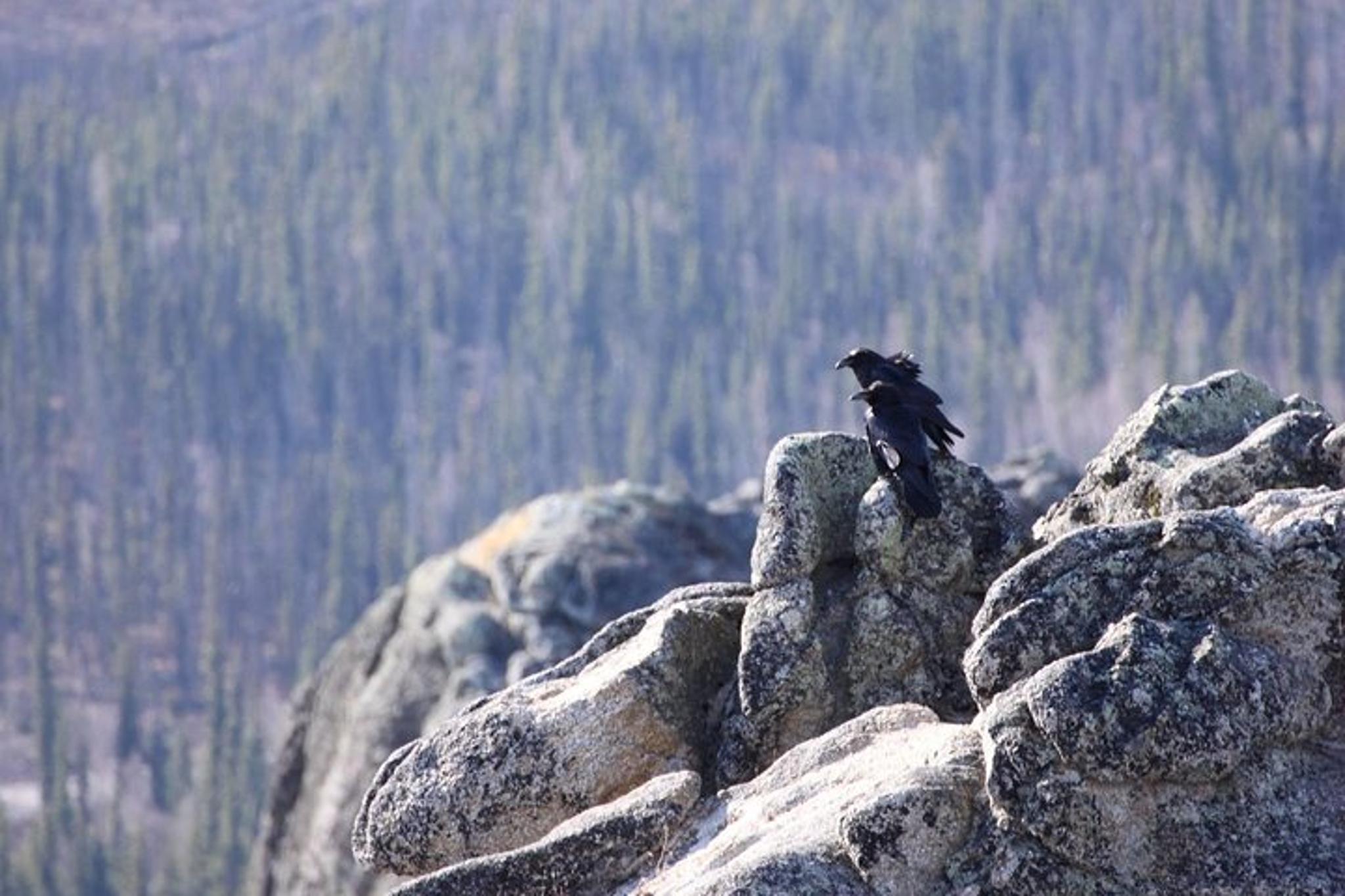 White Mountains Hiking Adventure - Image 4