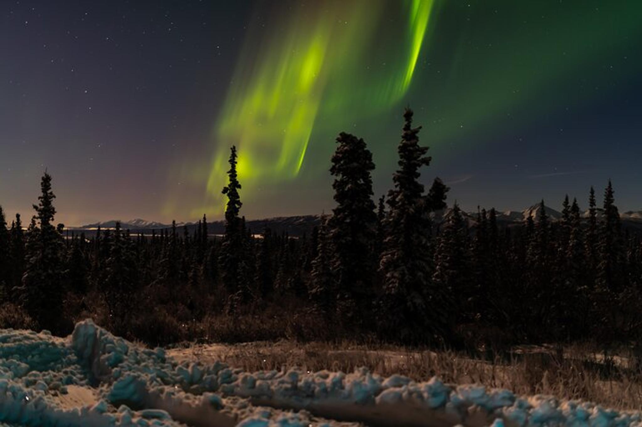 Anchorage Northern Lights Adventure - Image 5