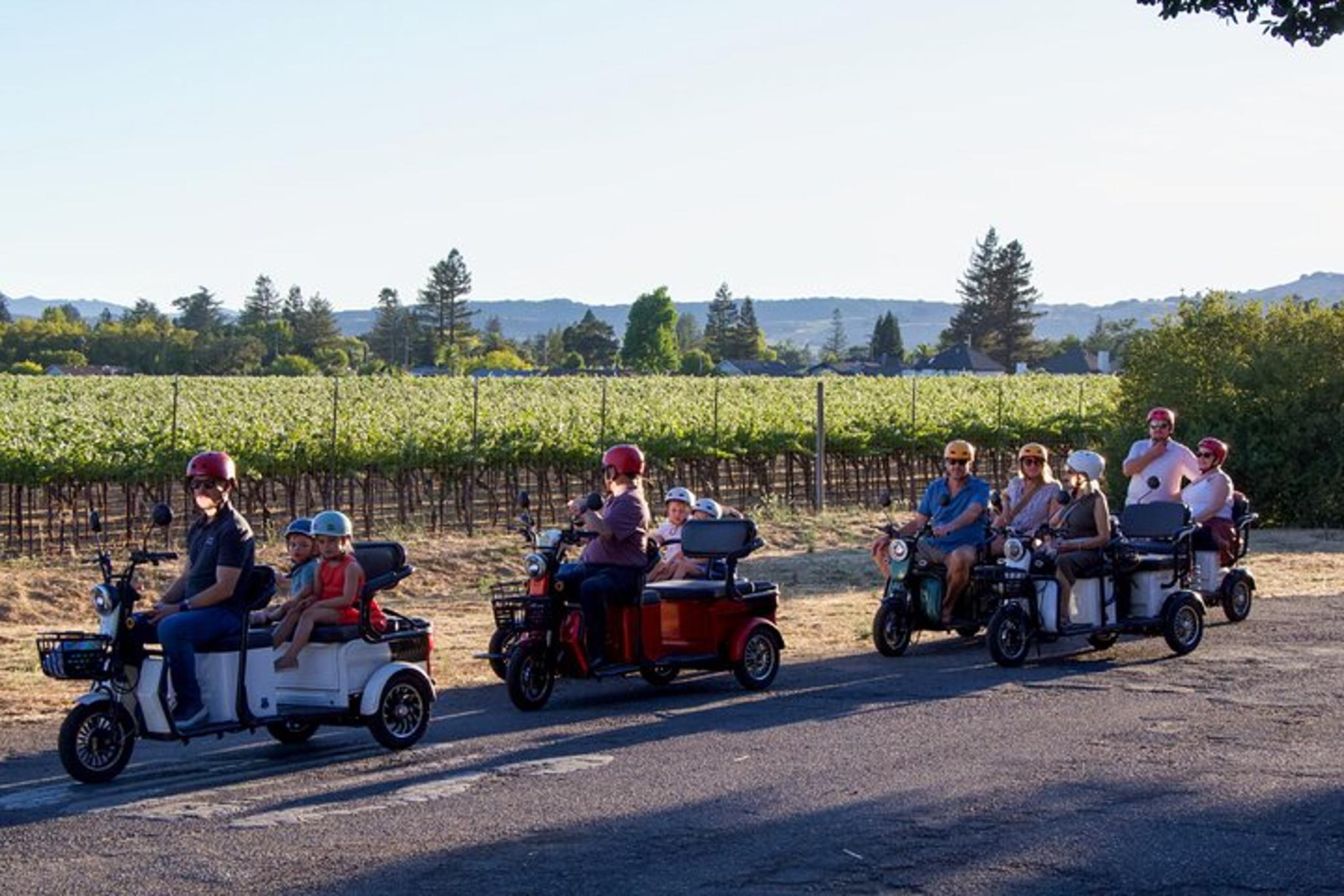 Sonoma Electric Trike Sunset Tour - Image 4