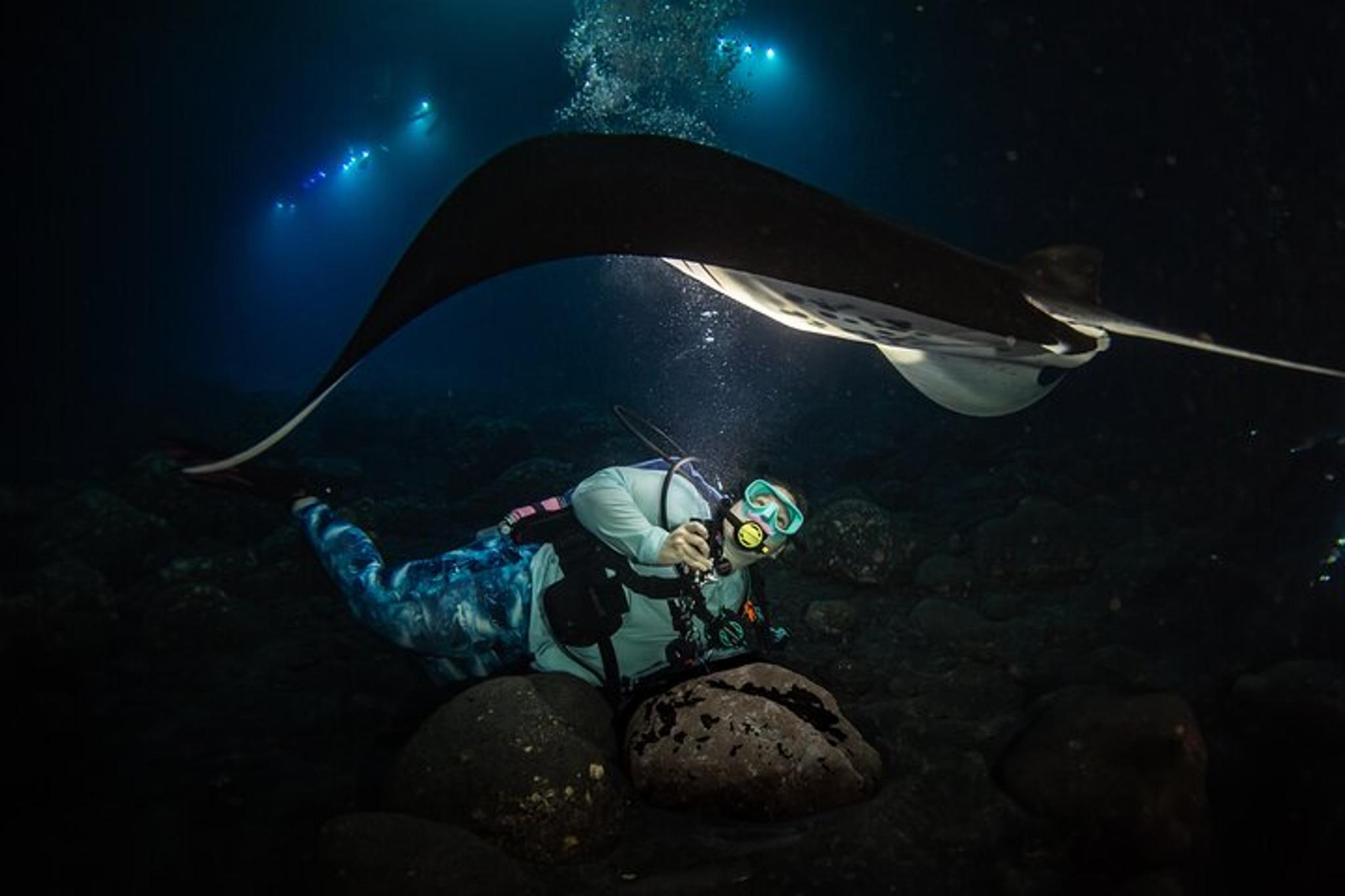 Hawaii Manta Night Dive and Snorkel 3 hr - Image 2