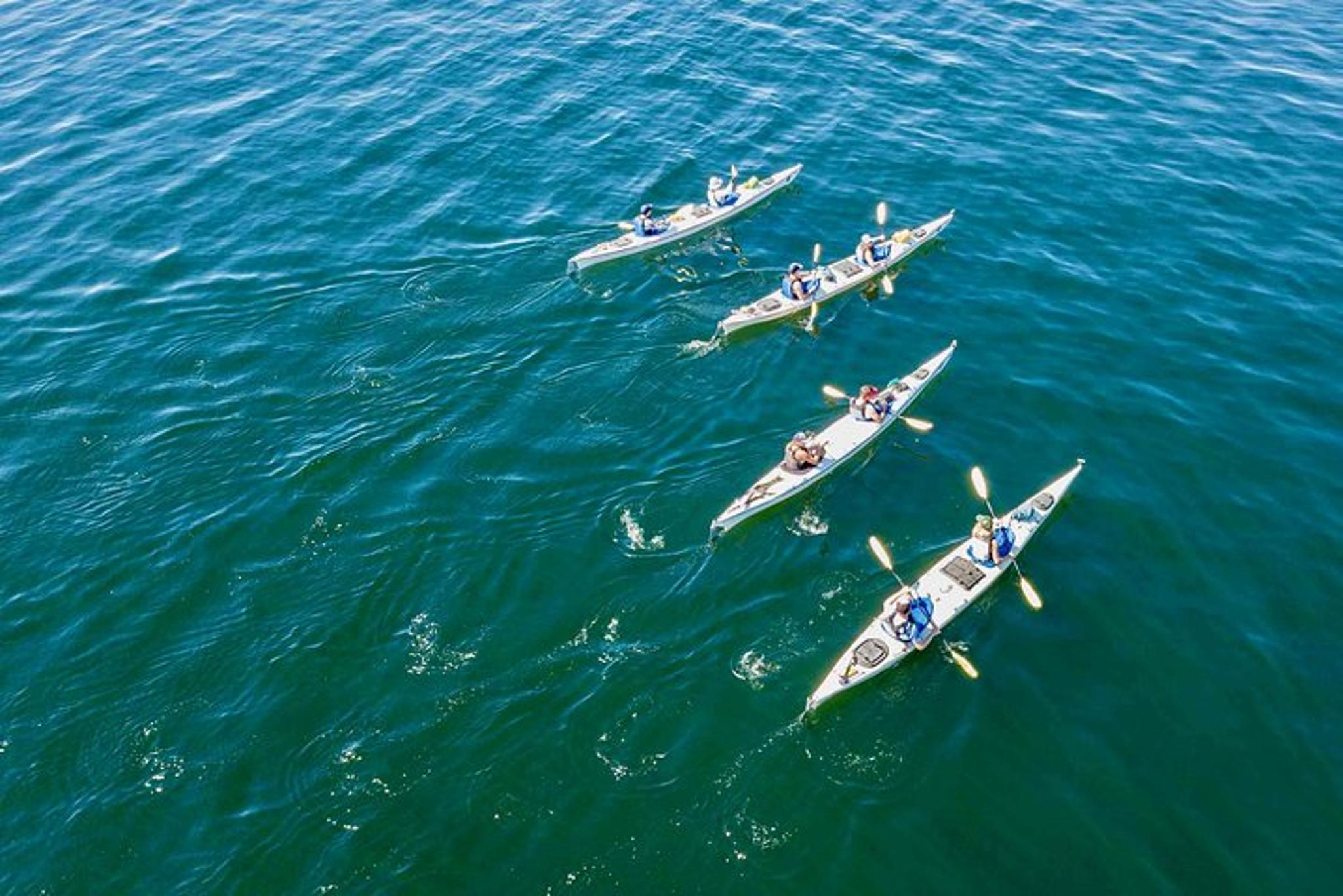 San Juan Island Kayaking Adventure - Image 2