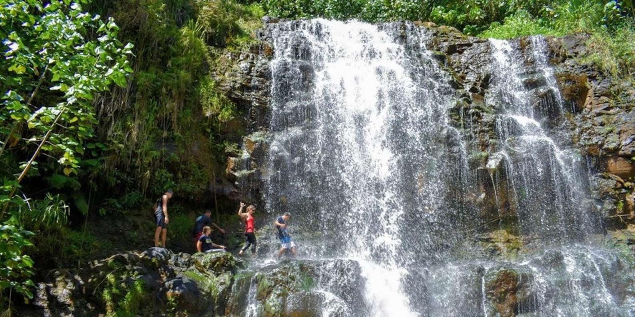 Kauai Guided Hike and Waterfall Swim - Image 3