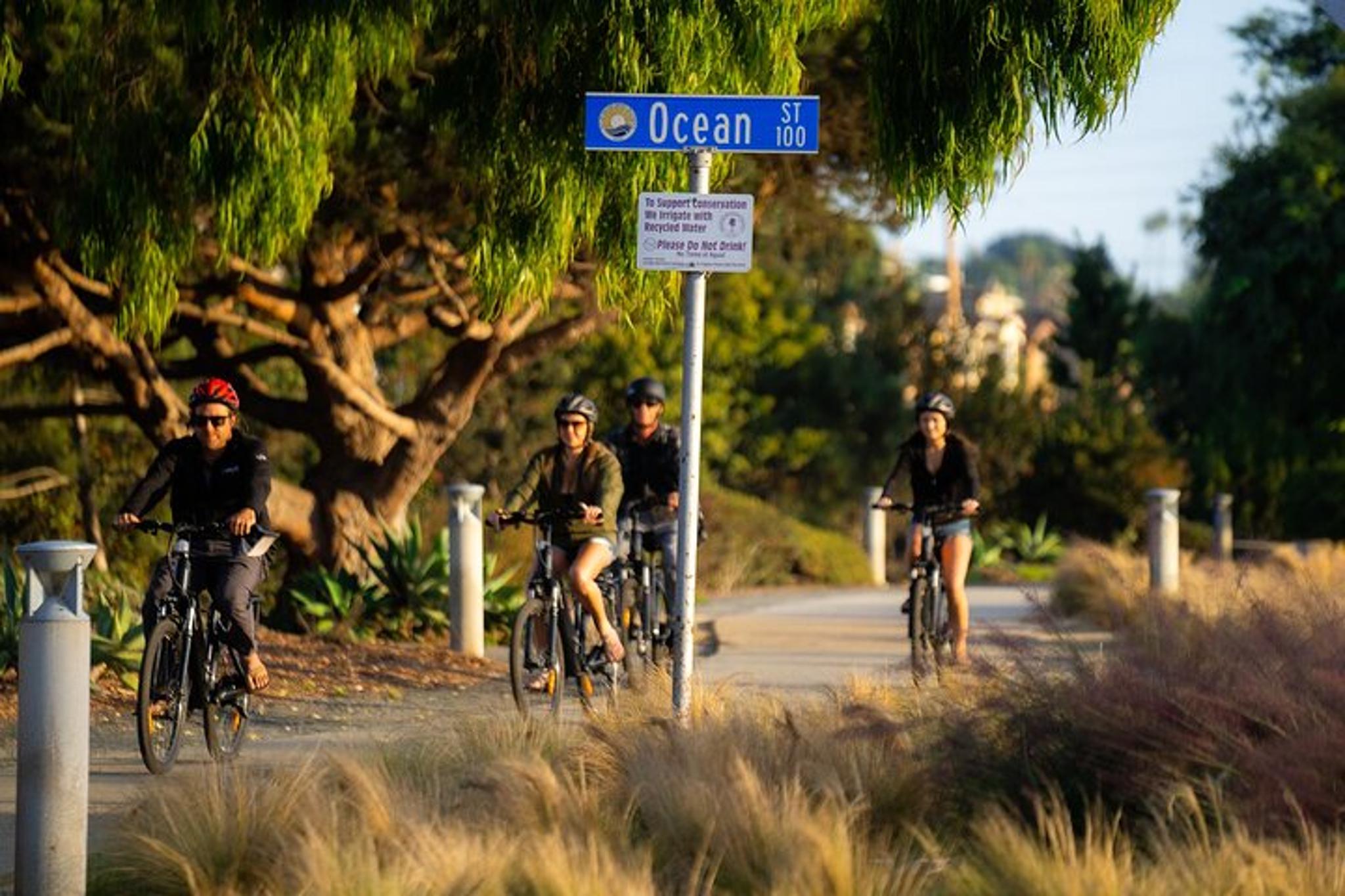 San Diego Electric Bike Tour to Torrey Pines - Image 4