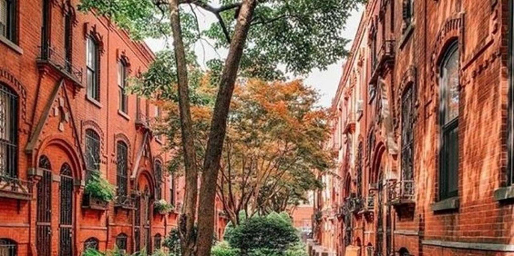 New York Street Food Tour with Local Guide - Image 3