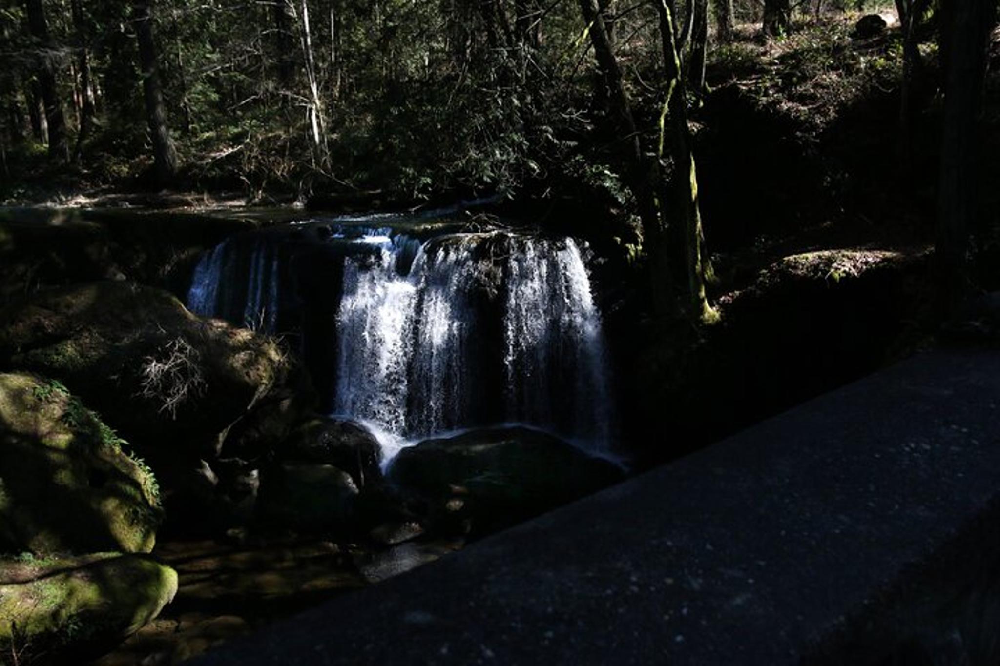Bellingham Brewery Tour - Image 4