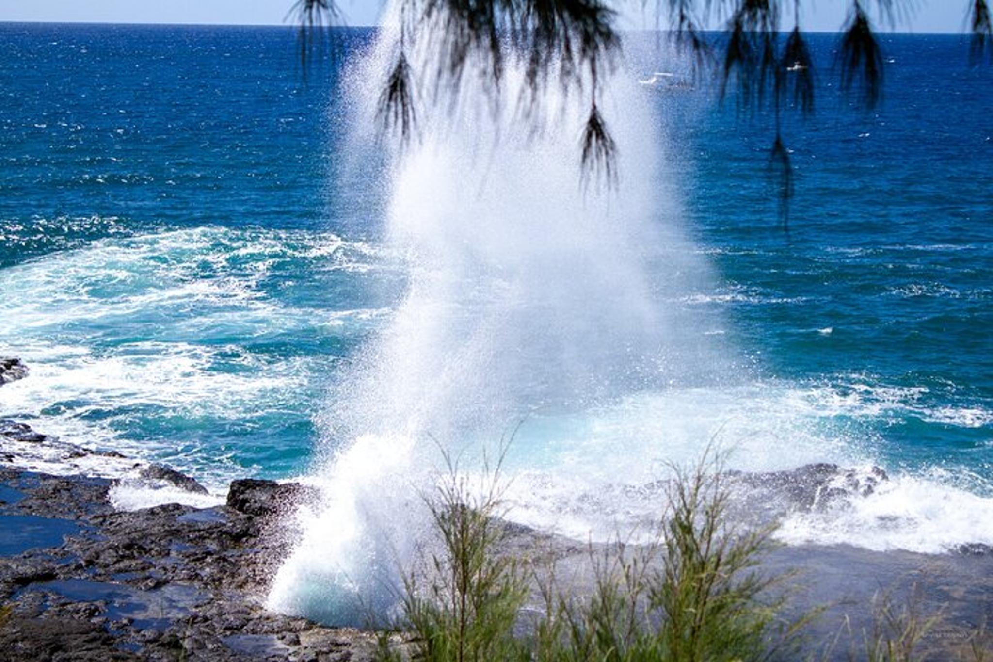 Kauai Private Shuttle Tour - Image 4