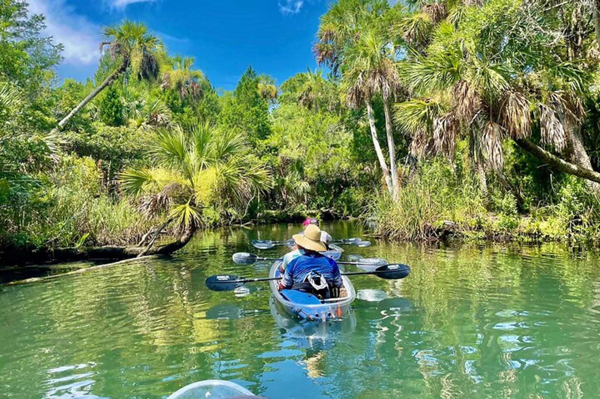 Chassahowitzka River Clear Kayak Tour - Image 3