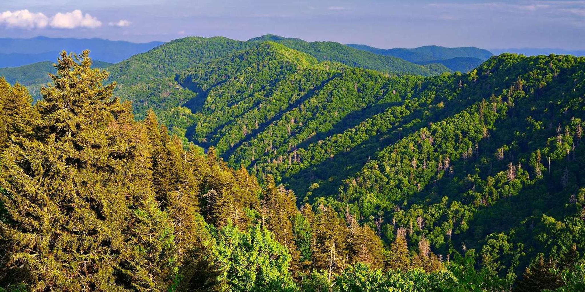 Pigeon Forge Smoky Mountains Jeep Tour - Image 1