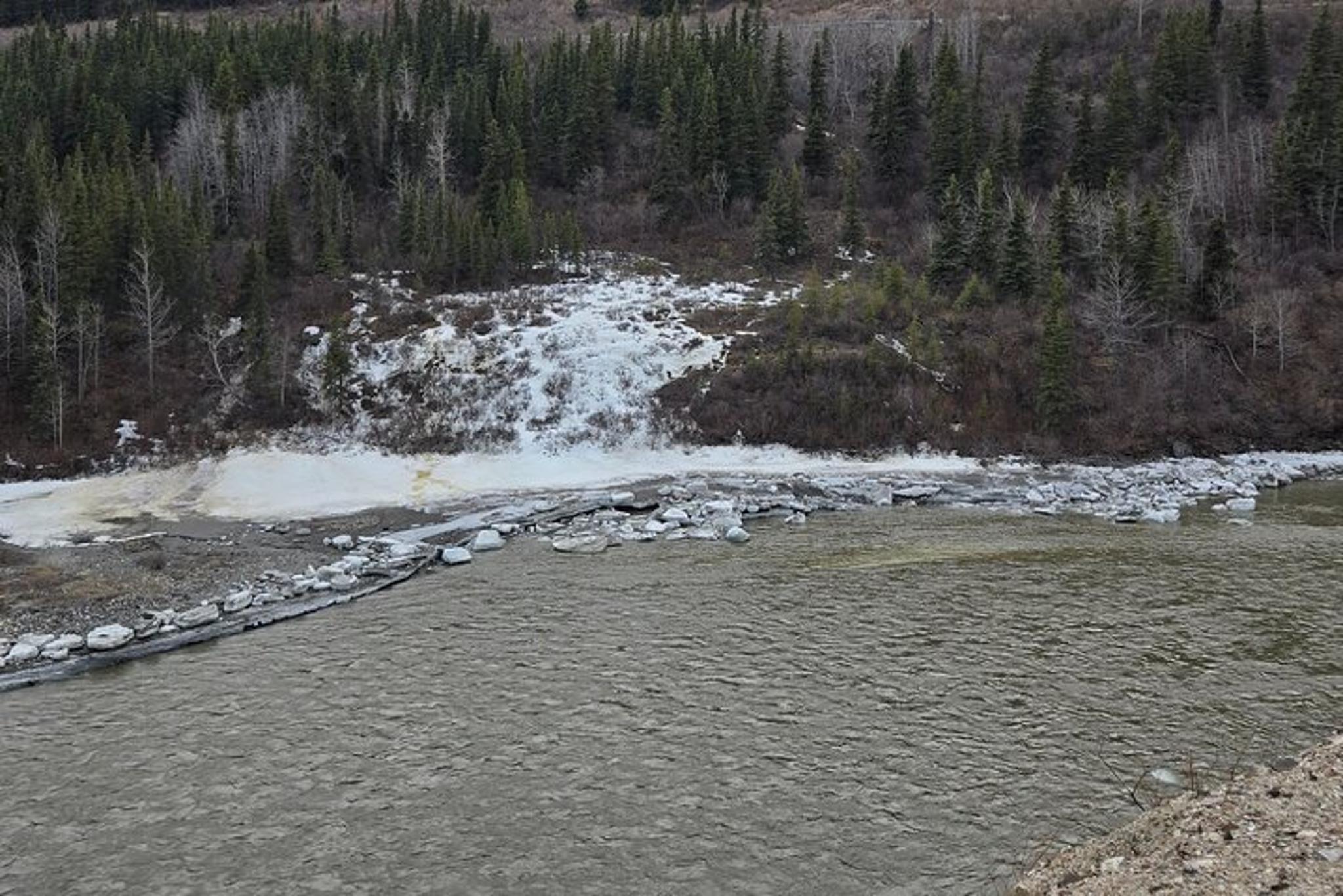 Denali National Park Shuttle - Image 4