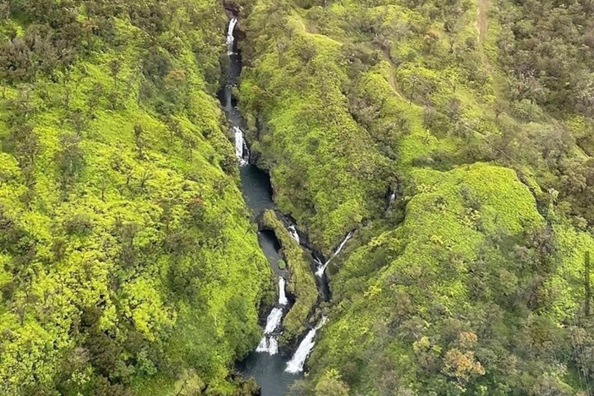 Maui Helicopter Tour: Hana Rainforest & Haleakala Crater - Image 5