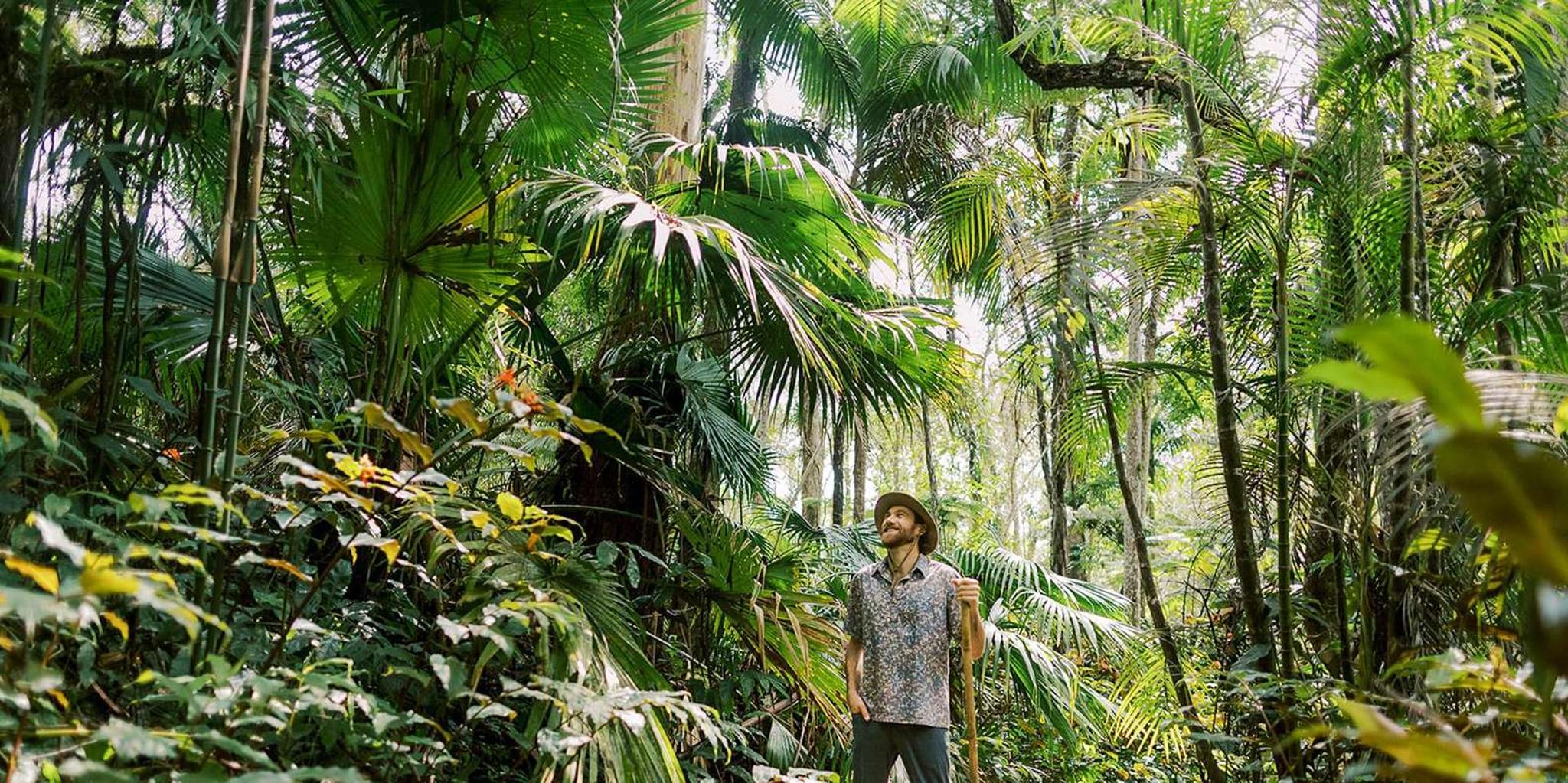 Kona Cloud Forest Sanctuary Montane Jungle Tour 2.5 hr - Image 1