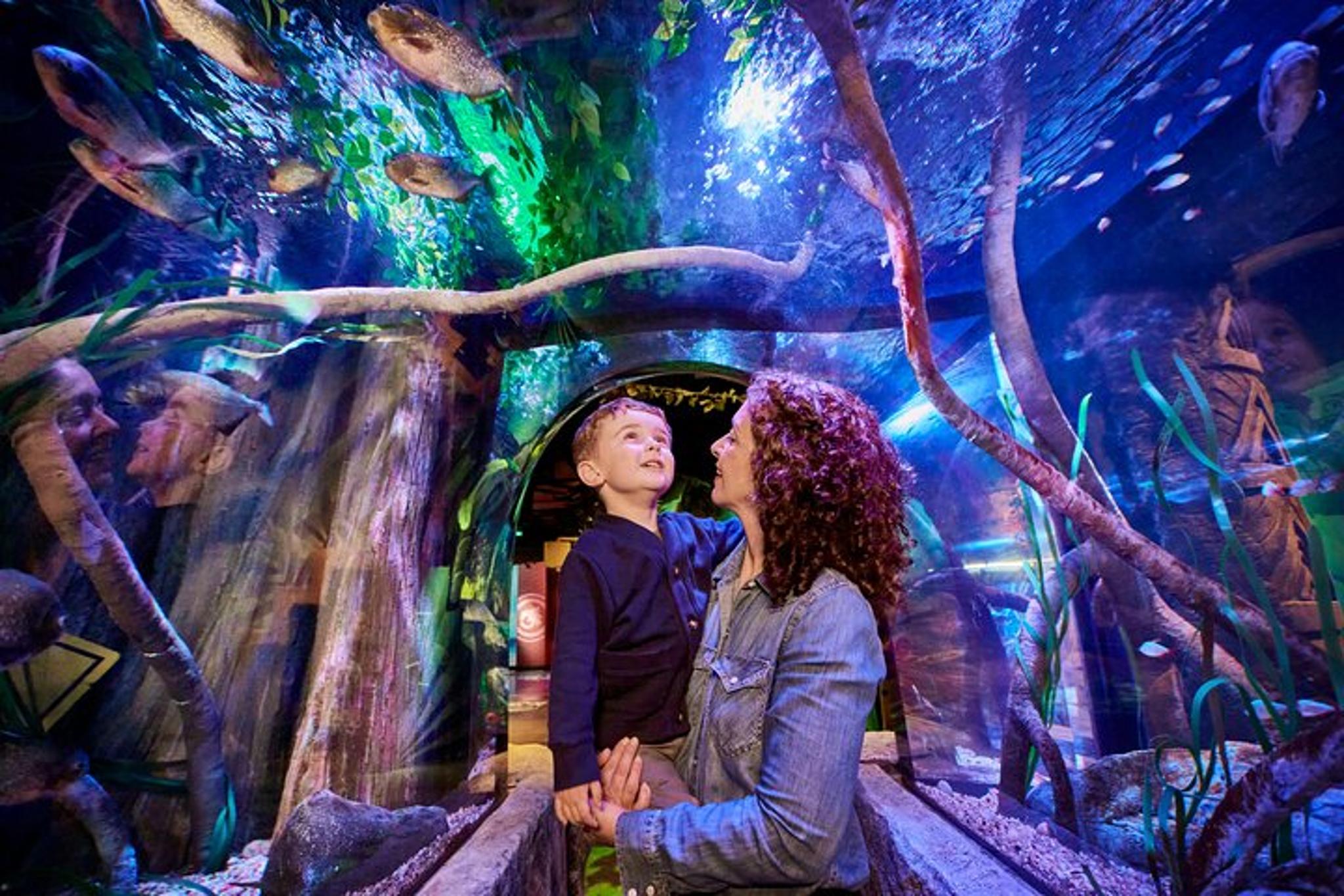 New Jersey SEA LIFE Aquarium Admission - Image 3