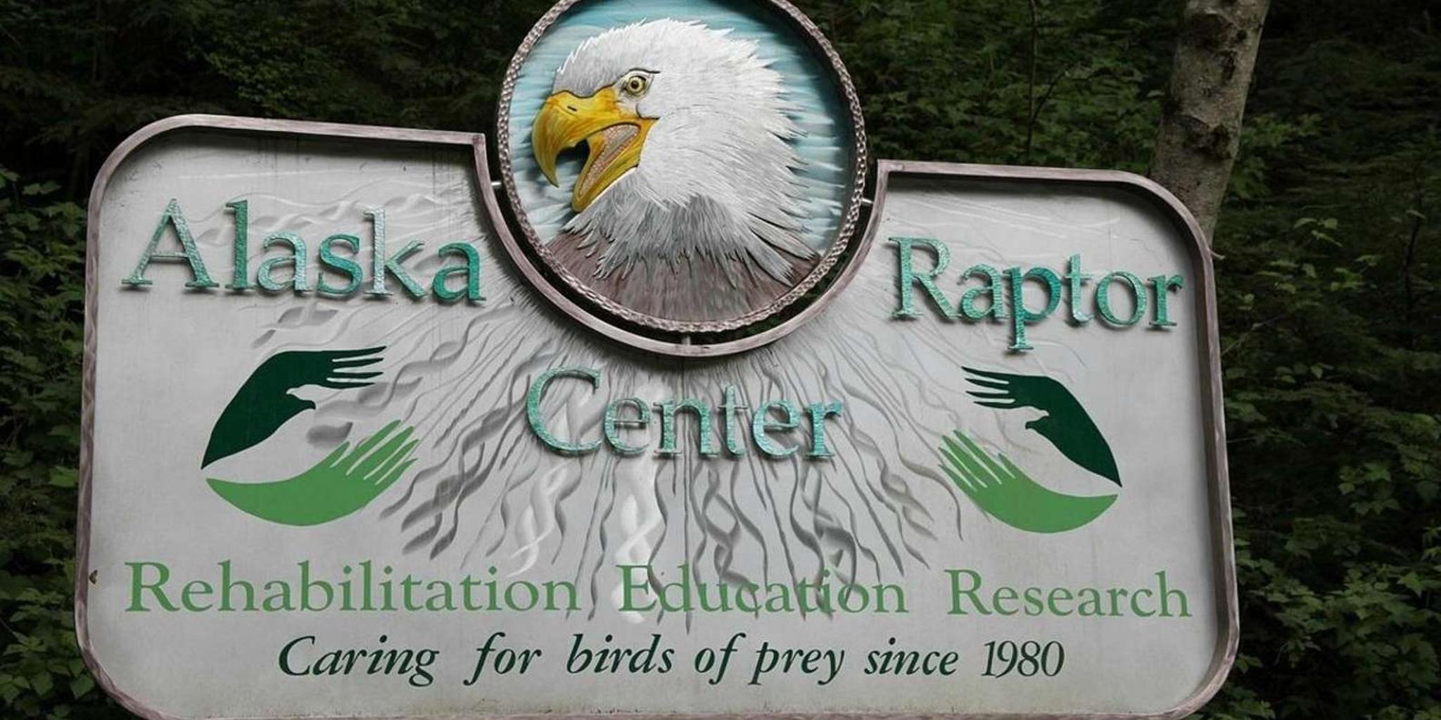 Sitka Alaska Raptor Center Admission - Image 5