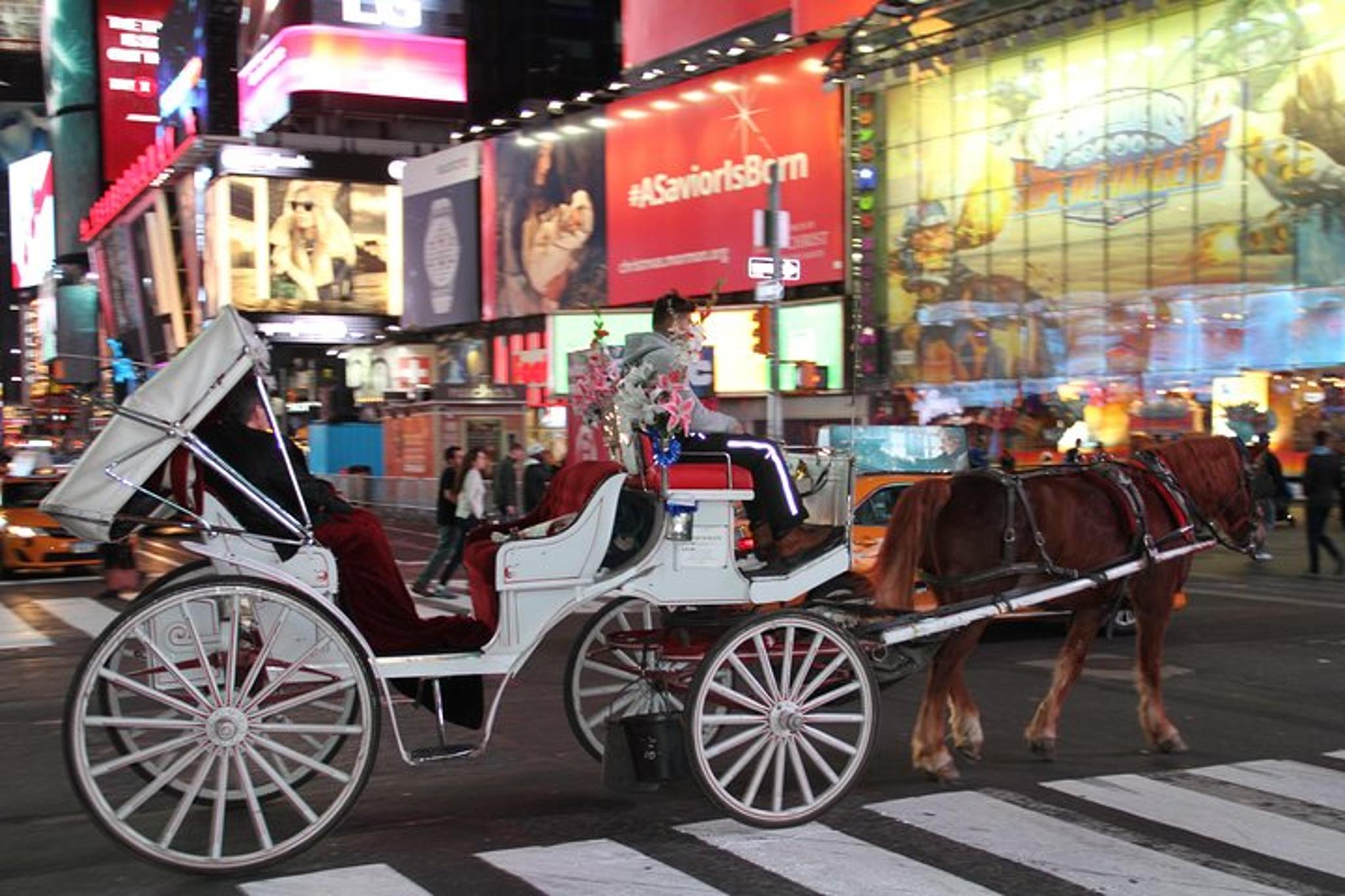 New York City Horse Carriage Tour Central Park - Image 5