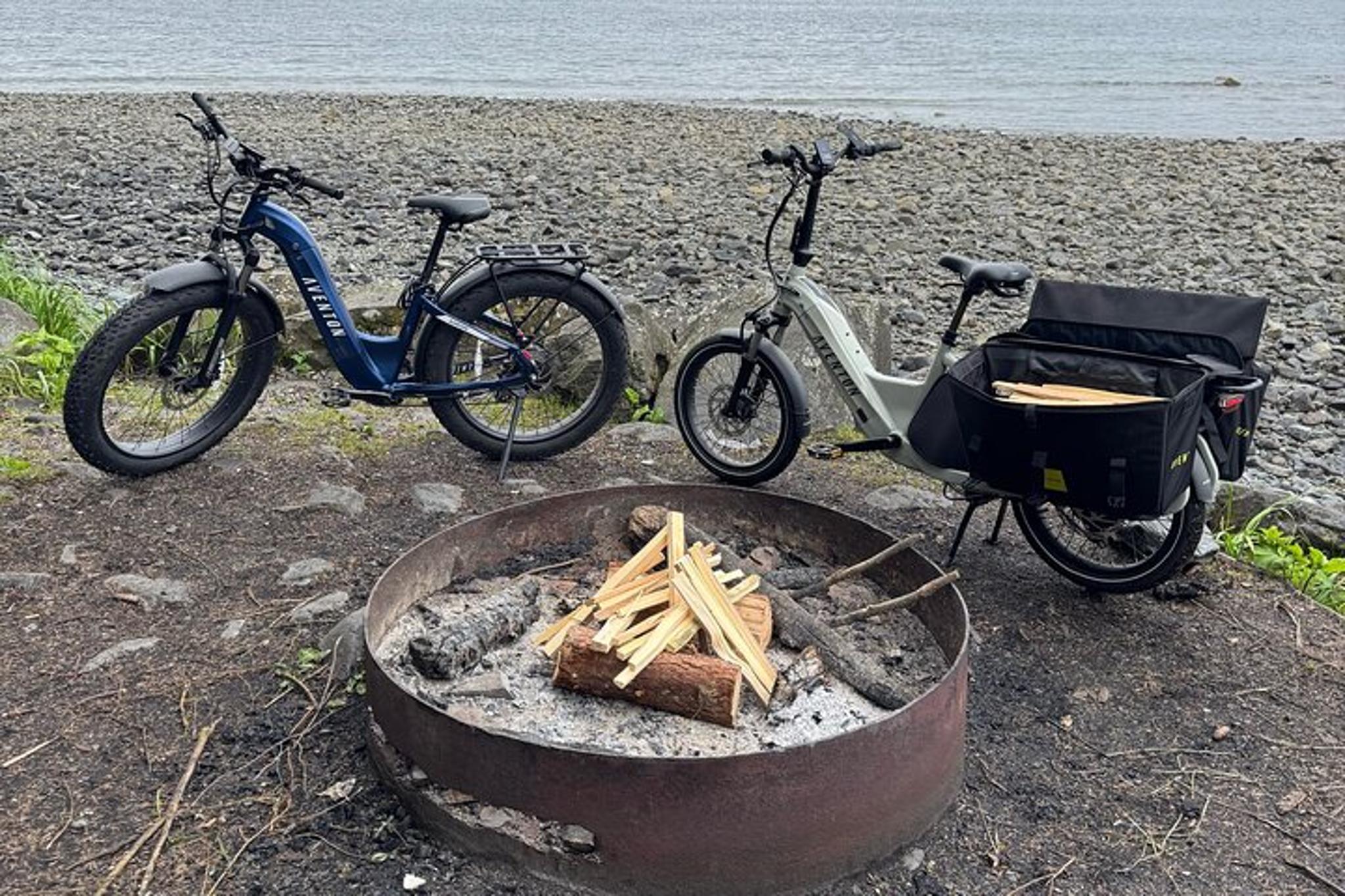 Sitka Cargo eBike Rental - Image 3