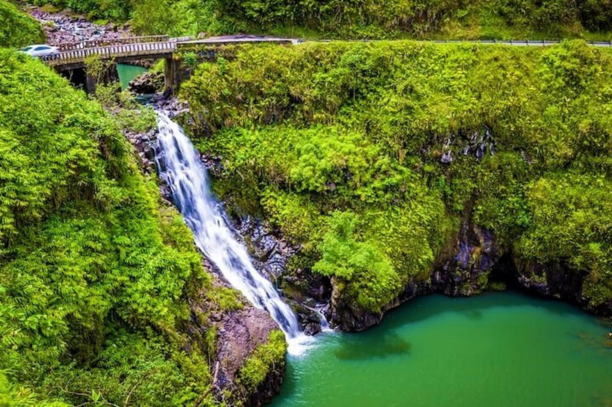 Maui Tropical Rainforest Small Group Tour