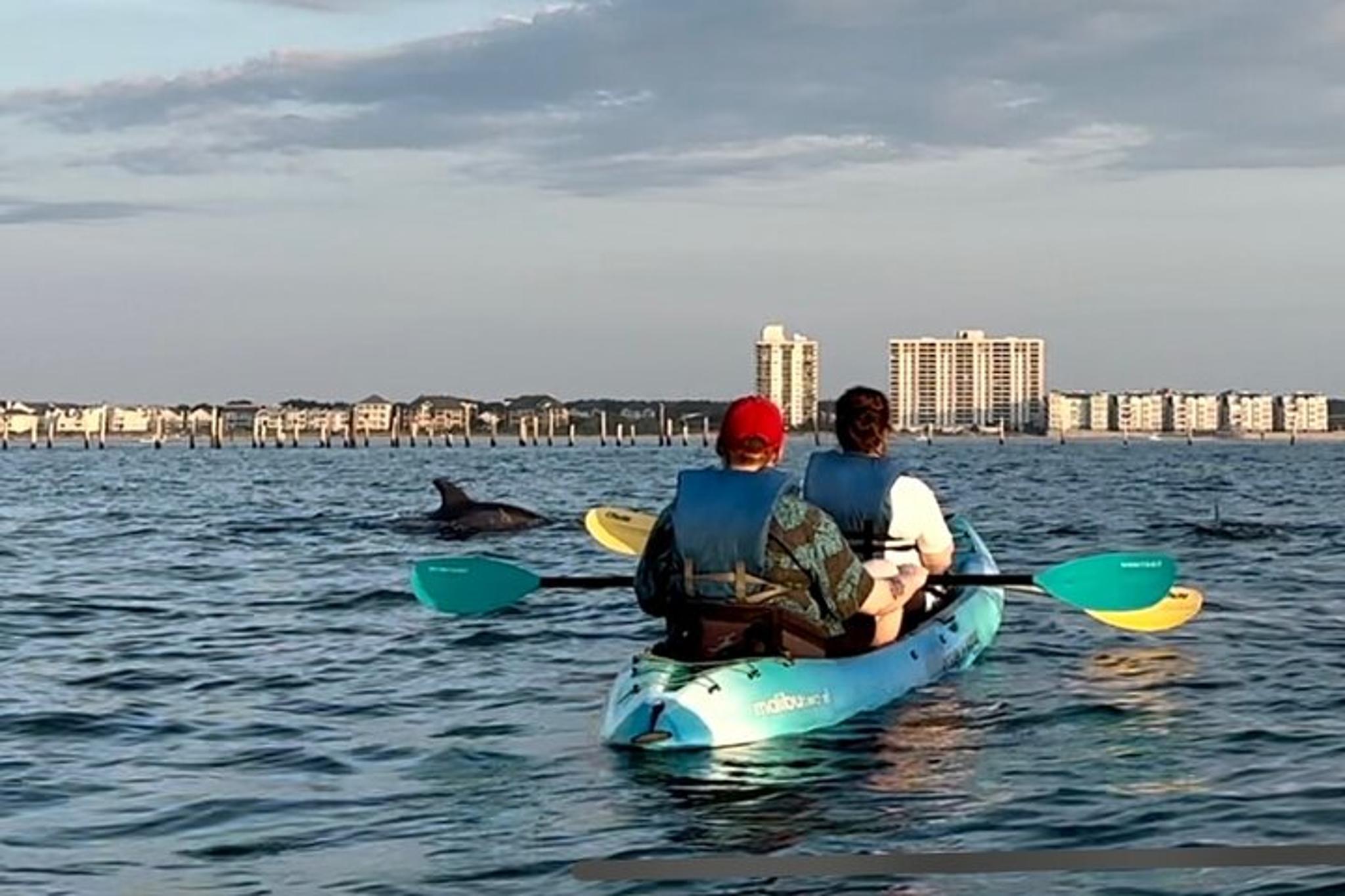 Virginia Beach Kayak Dolphin Experience - Image 2