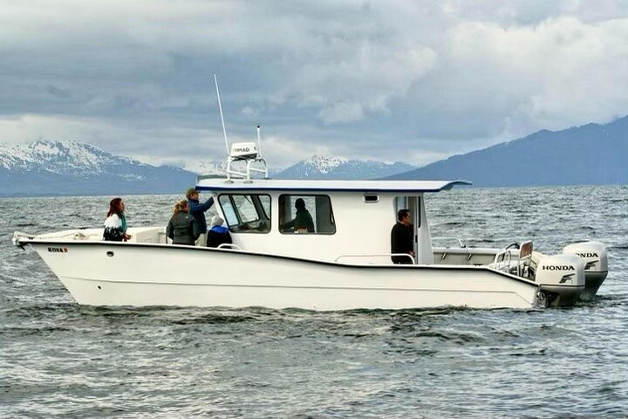Icy Strait Whale & Wildlife Tour