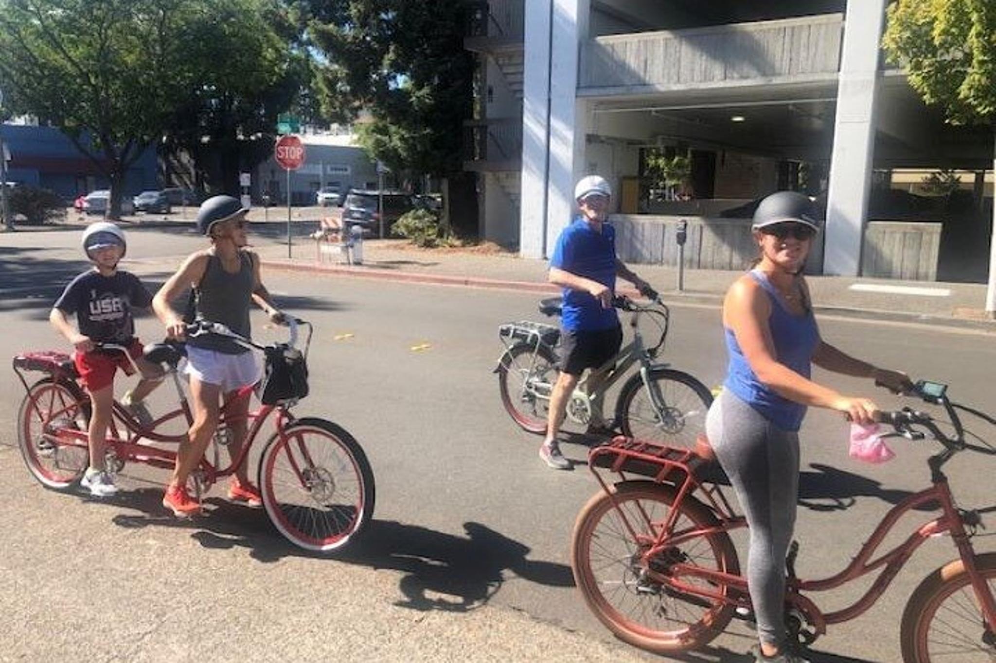 Santa Rosa E-Bike Rental Wine Country Adventure - Image 5