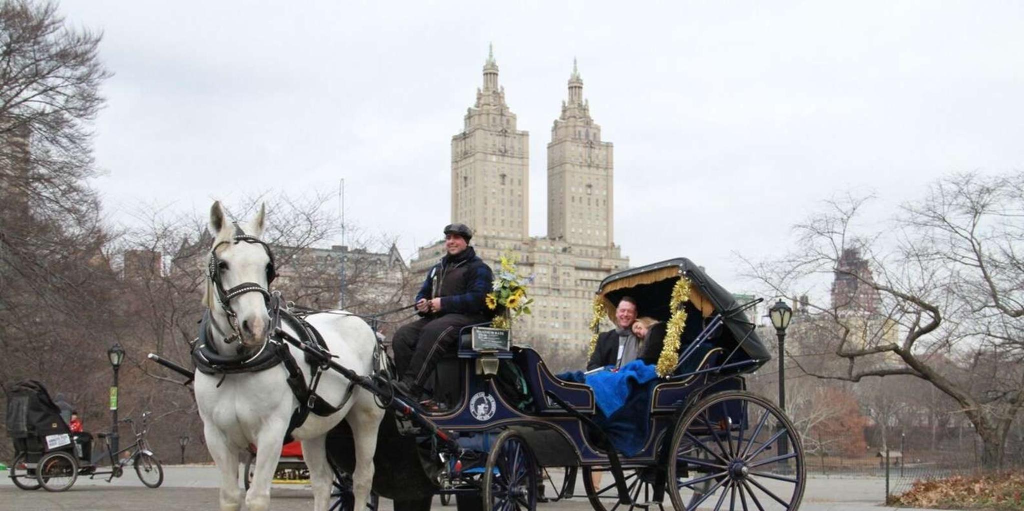 New York City Horse Carriage Ride in Central Park - Image 5