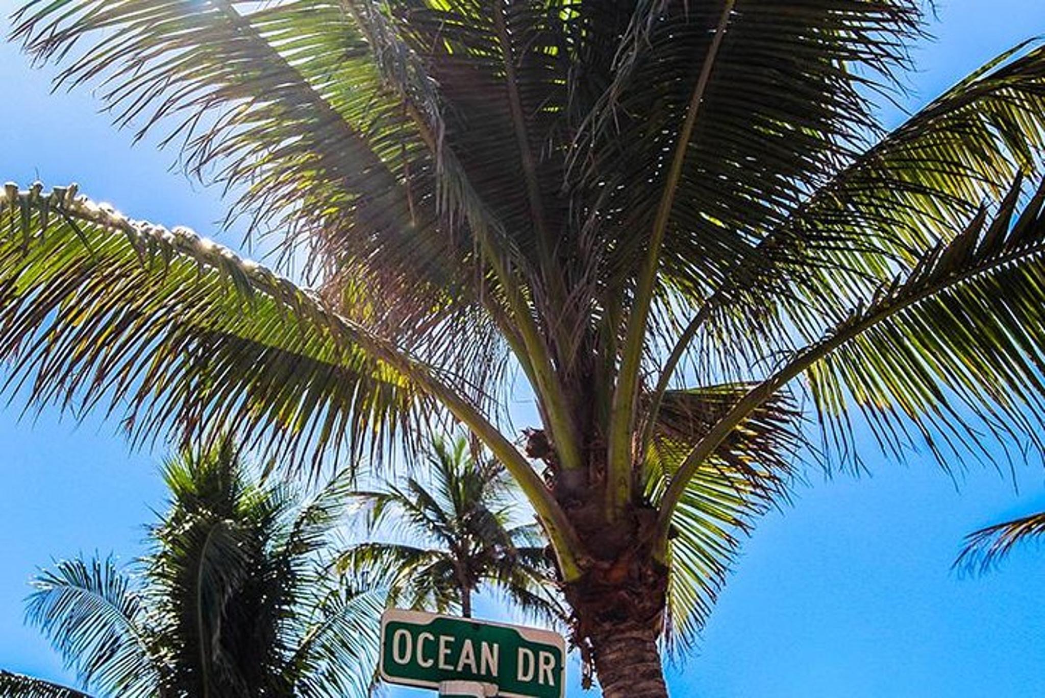 Miami Golf Cart Tour - Image 2