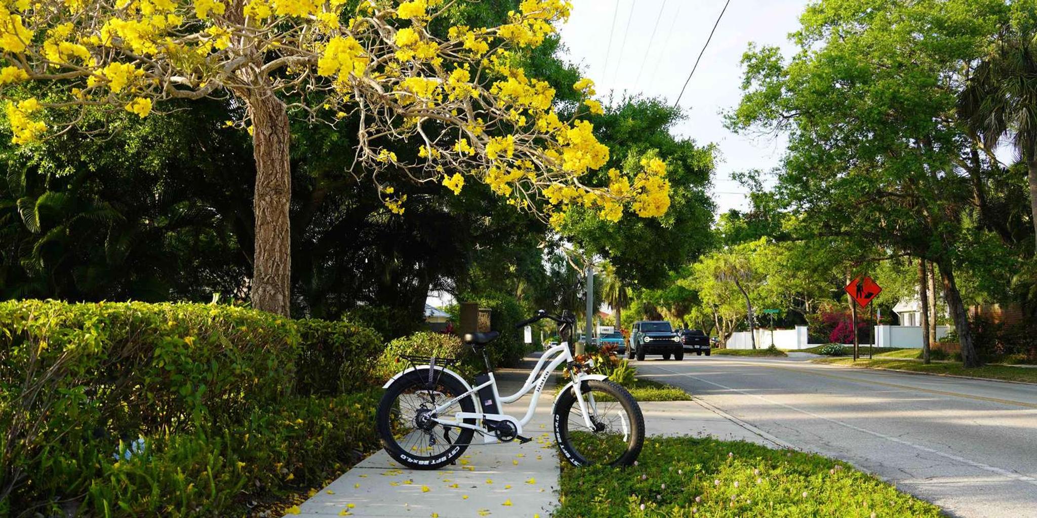 Sarasota E-Bike Rental - Image 2