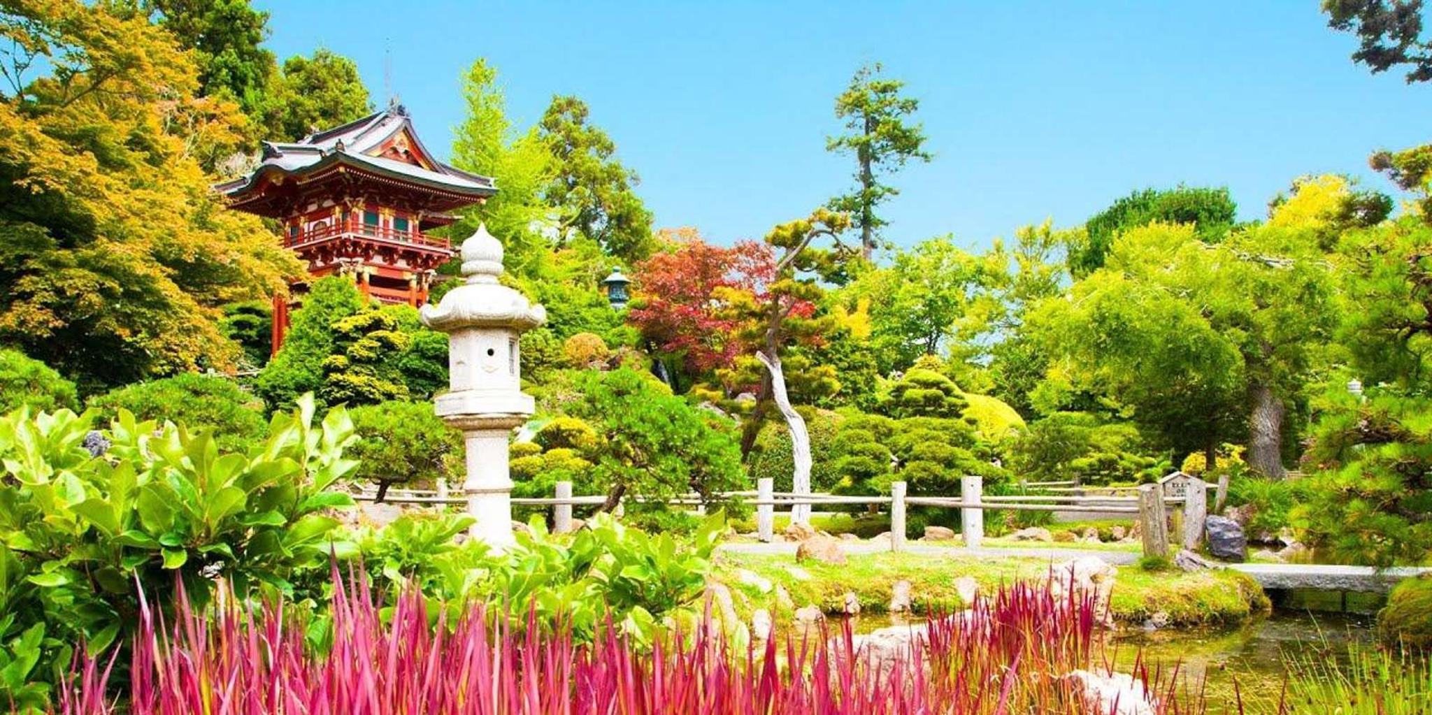 San Francisco Movie and TV Filming Locations Tour 8 hr - Image 3