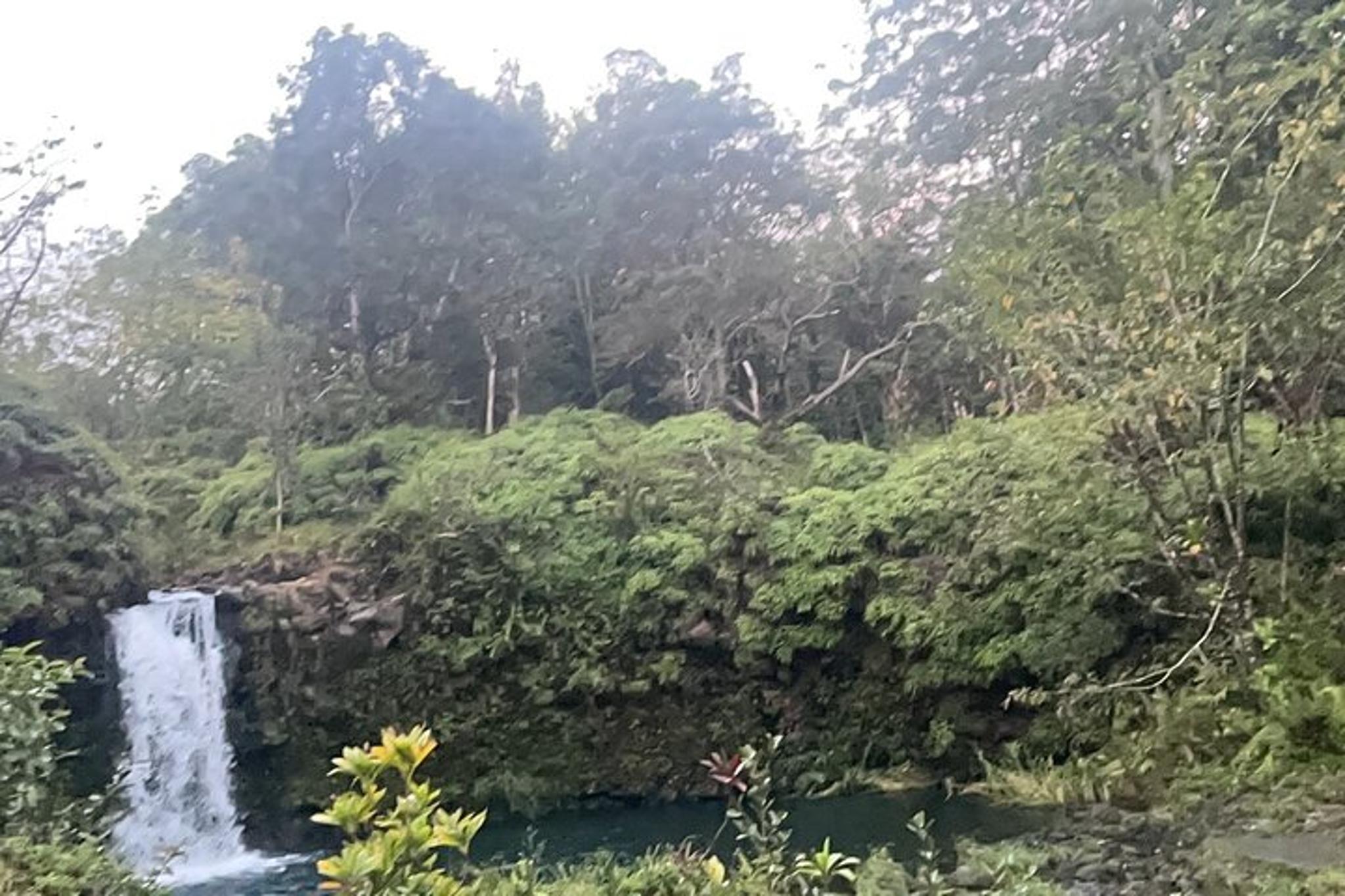 Hana Private Road Tour - Image 4