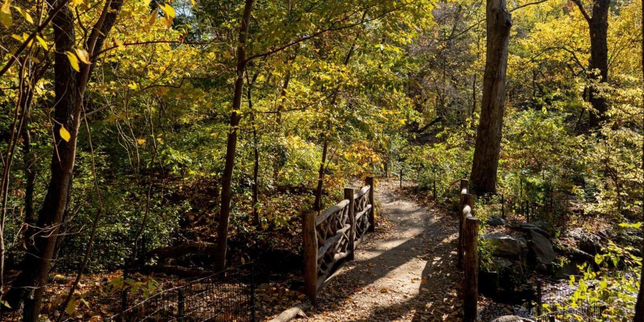 New York City Literary Legends Pedicab Tour - Image 6