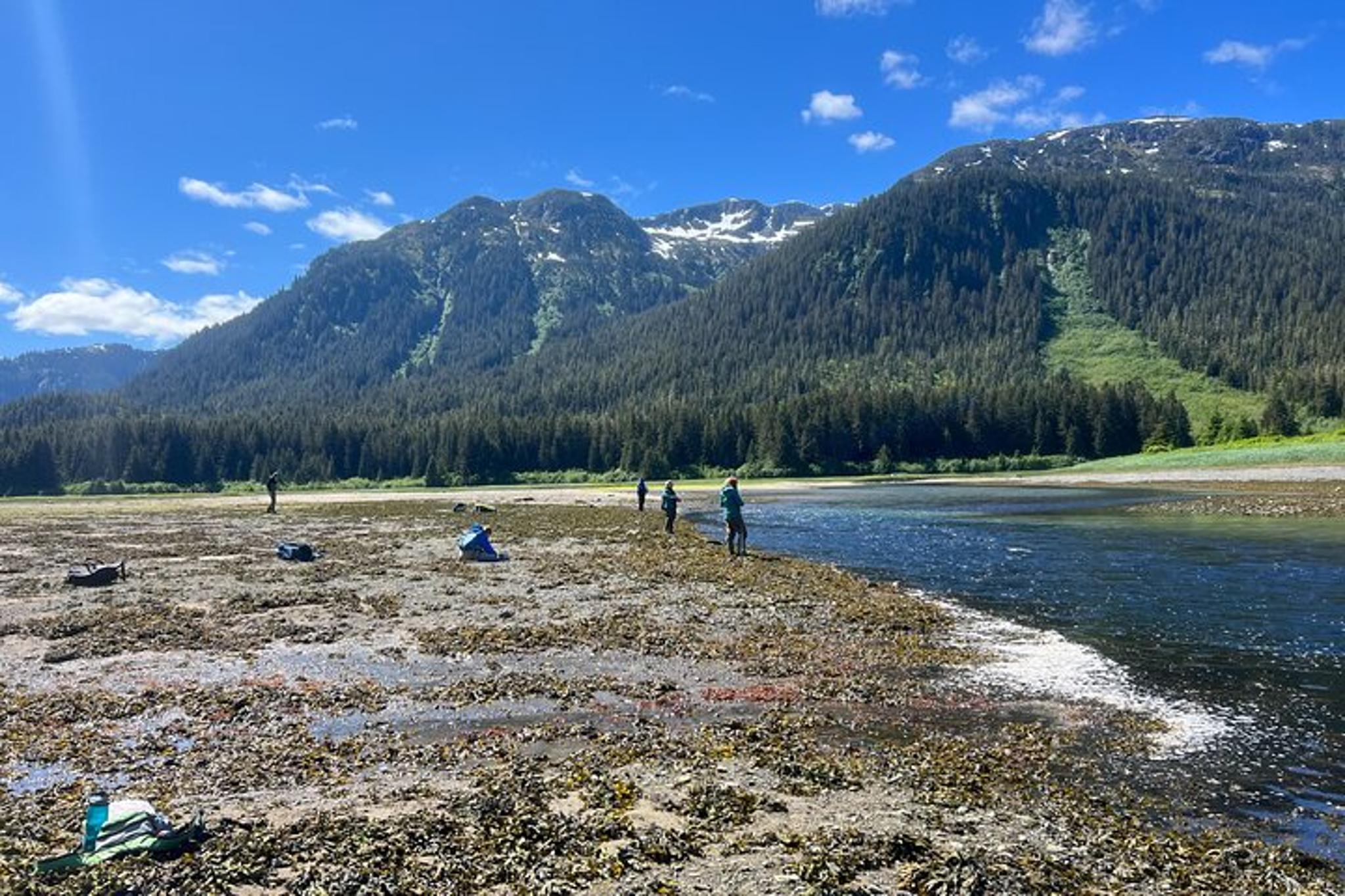 Icy Strait Point River Fishing and Bear Watching - Image 6