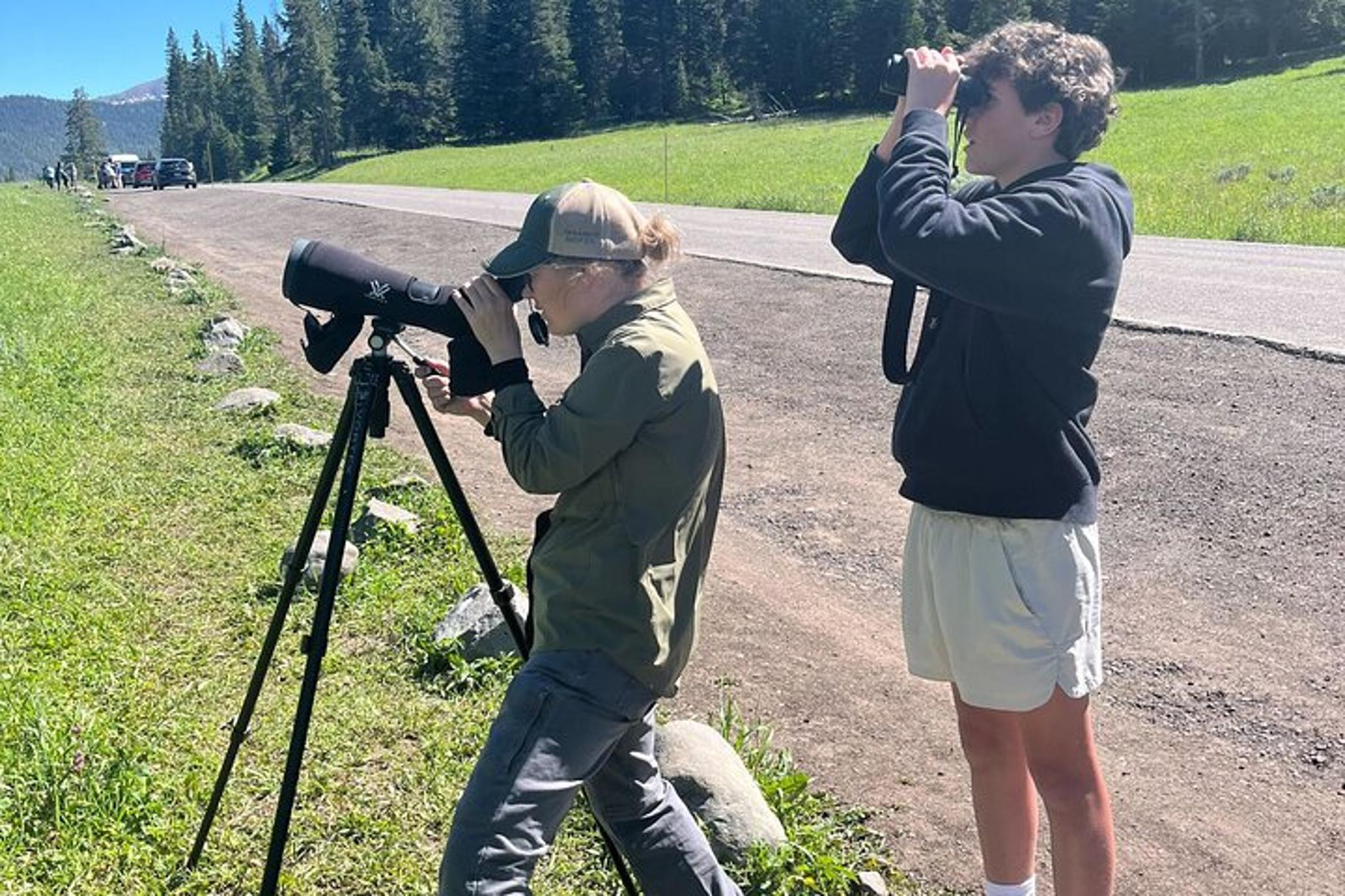 Gardiner Wildlife Safari in Yellowstone's Lamar Valley