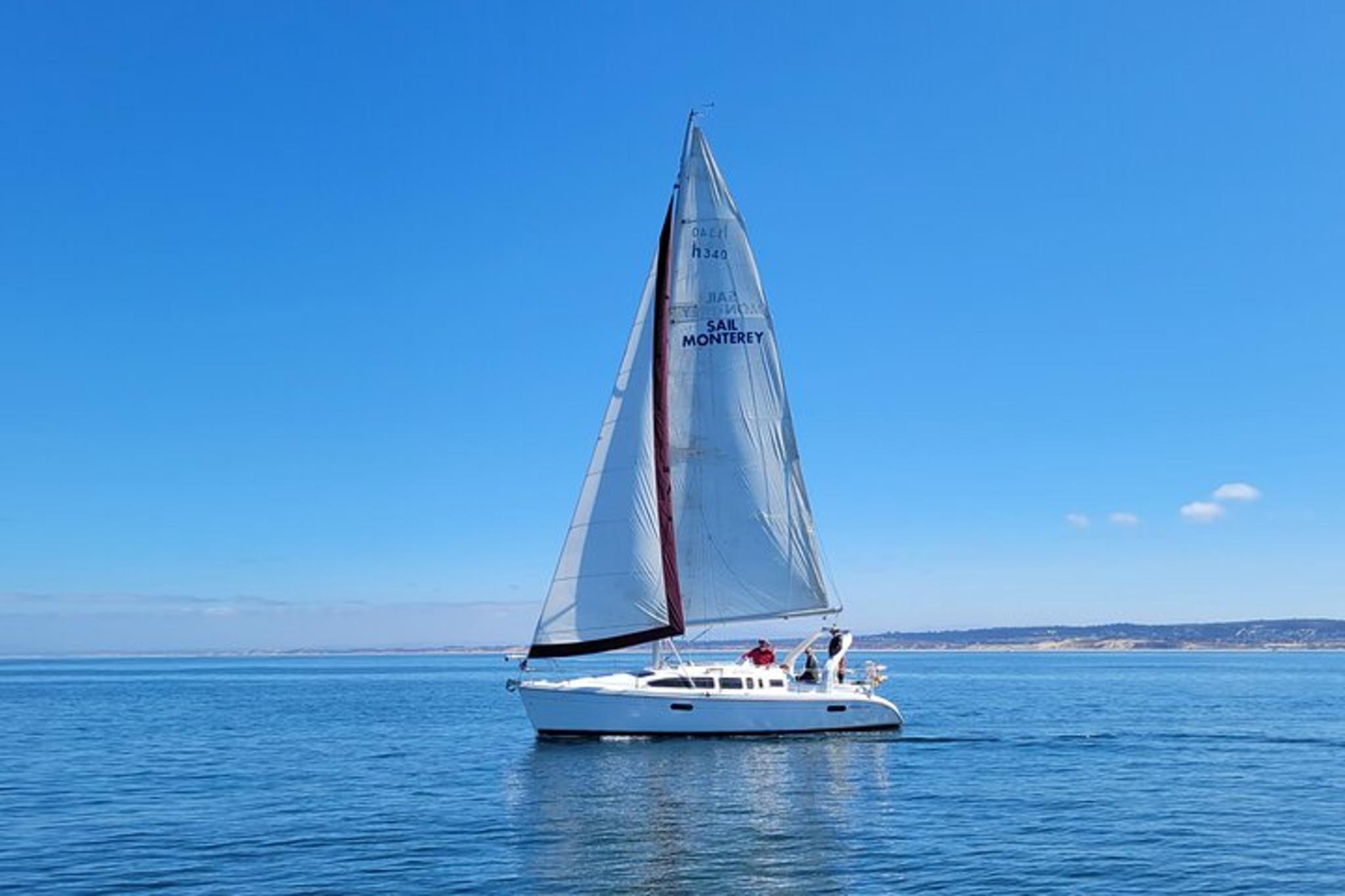 Monterey Whale Watching Cruise