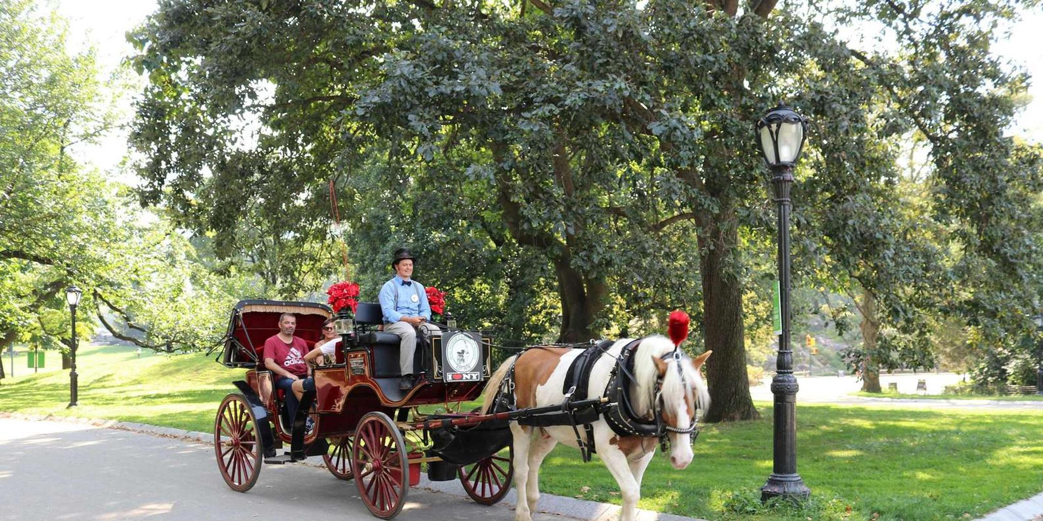 New York City Central Park Horse Carriage Ride - Image 2