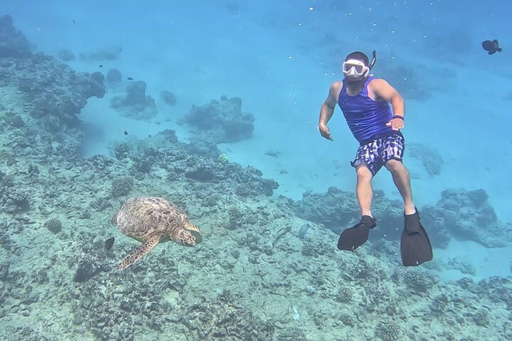 Waikiki Snorkeling Cruise - Image 3