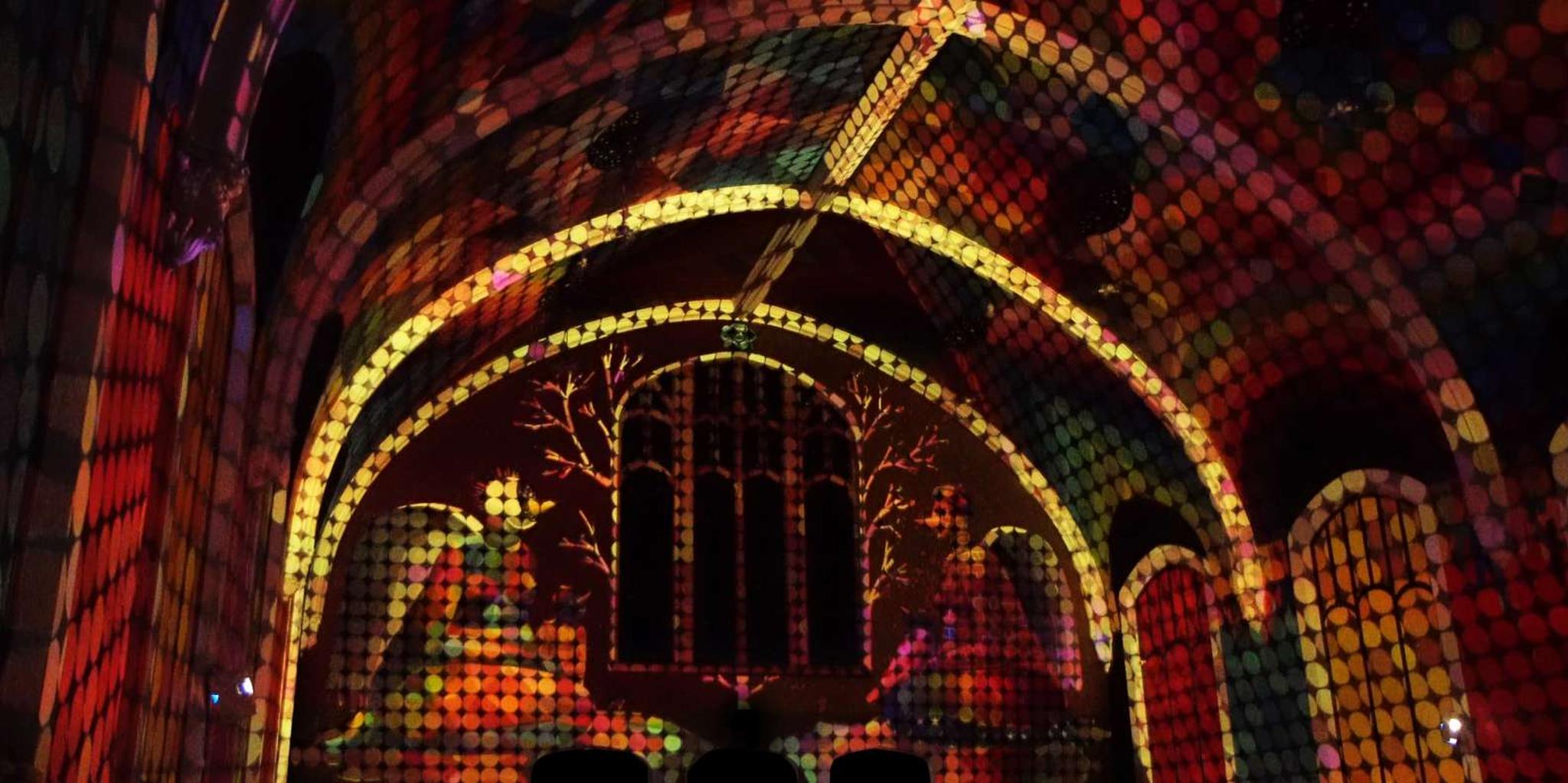 Denver Light Show and Meditation Experience - Image 5