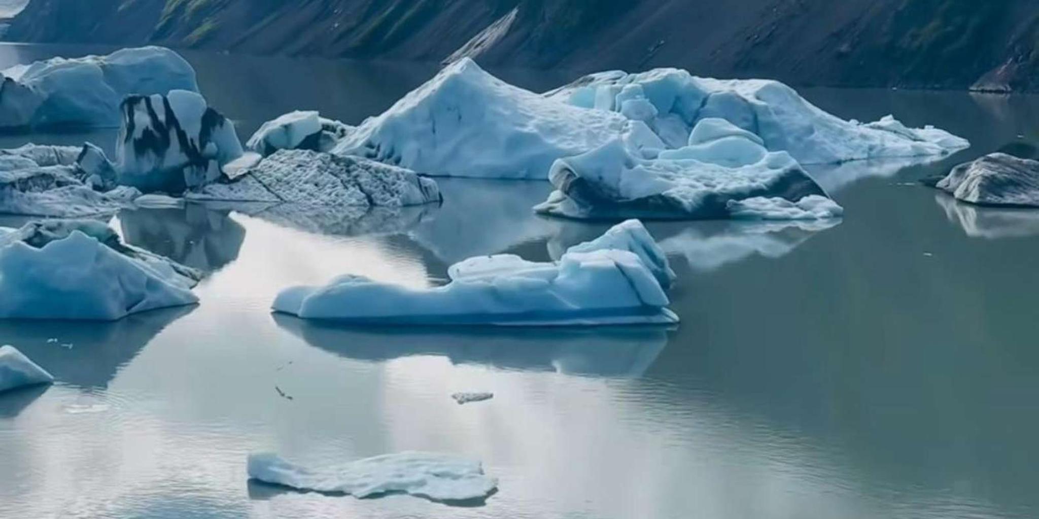 Seward Helicopter Tour with Bear Glacier Landing - Image 2