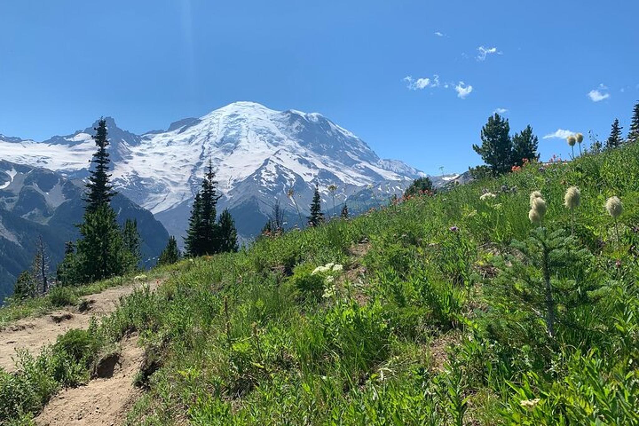 Mount Rainier Private Tour & Hike - Image 2