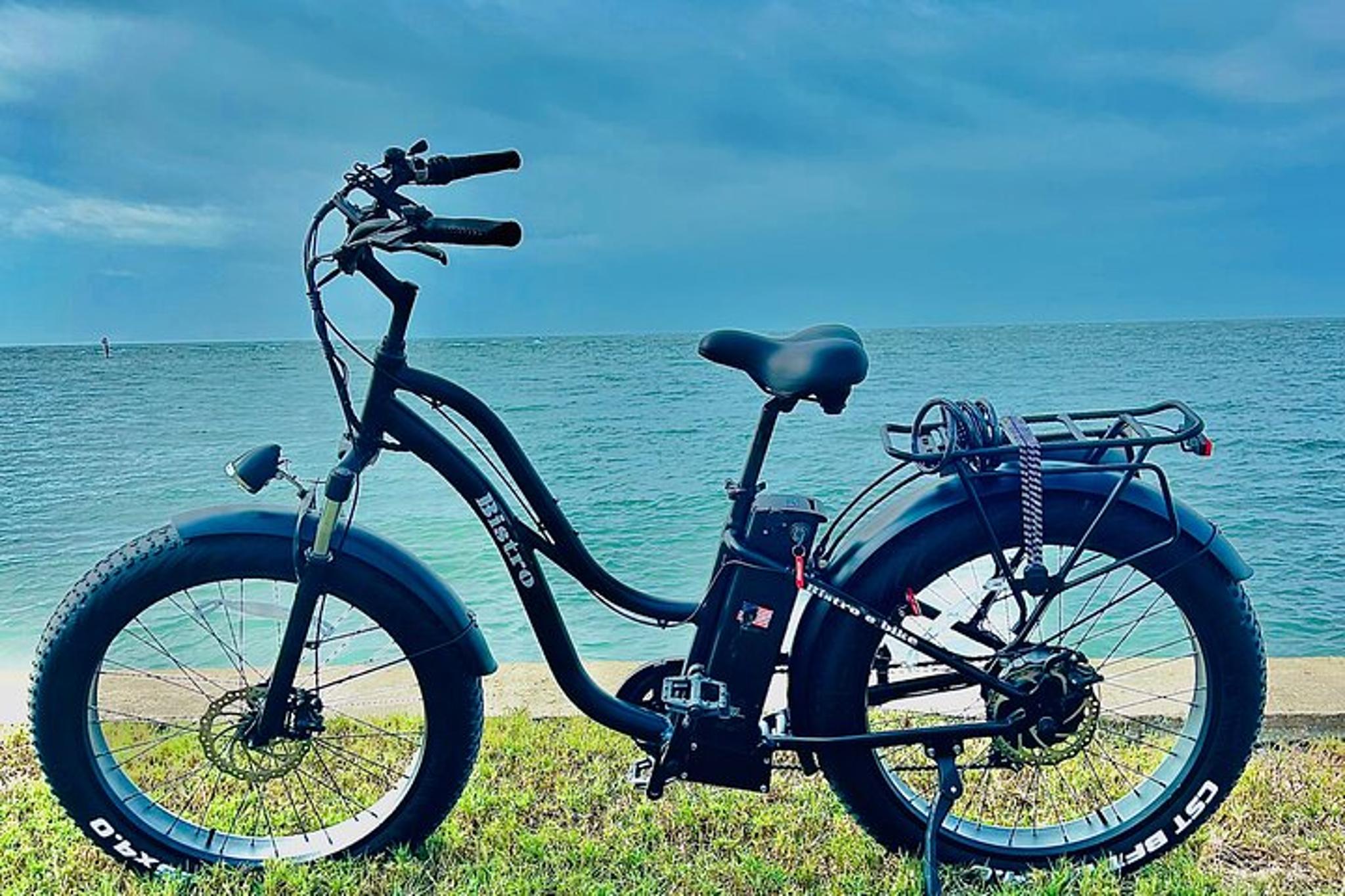 Sarasota E-Bike Rental Adventure - Image 3