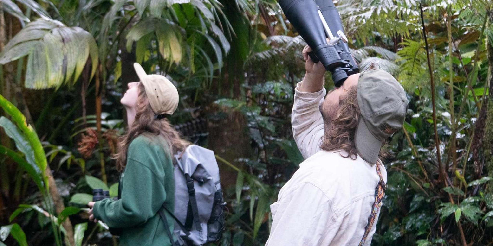 Kailua-Kona Birding Tour in Cloud Forest 2 hr - Image 3