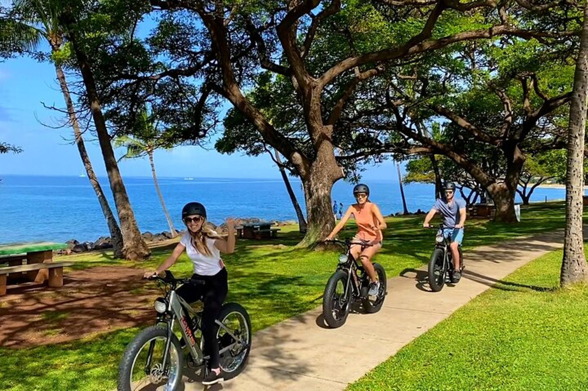 Maui eBike Island Explorer Full-Day Rental - Image 6