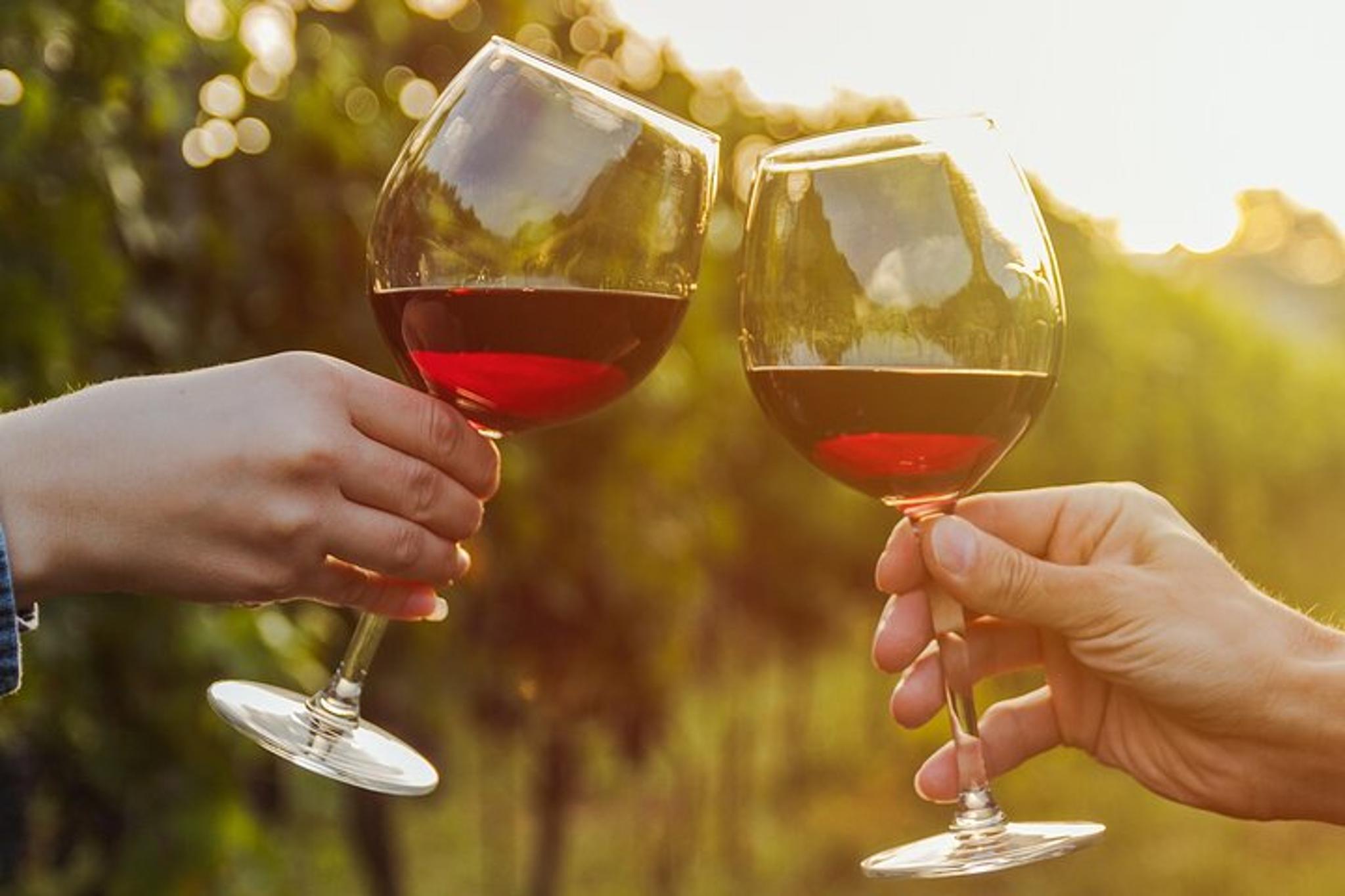 Tucson Wine Tasting Experience - Image 2