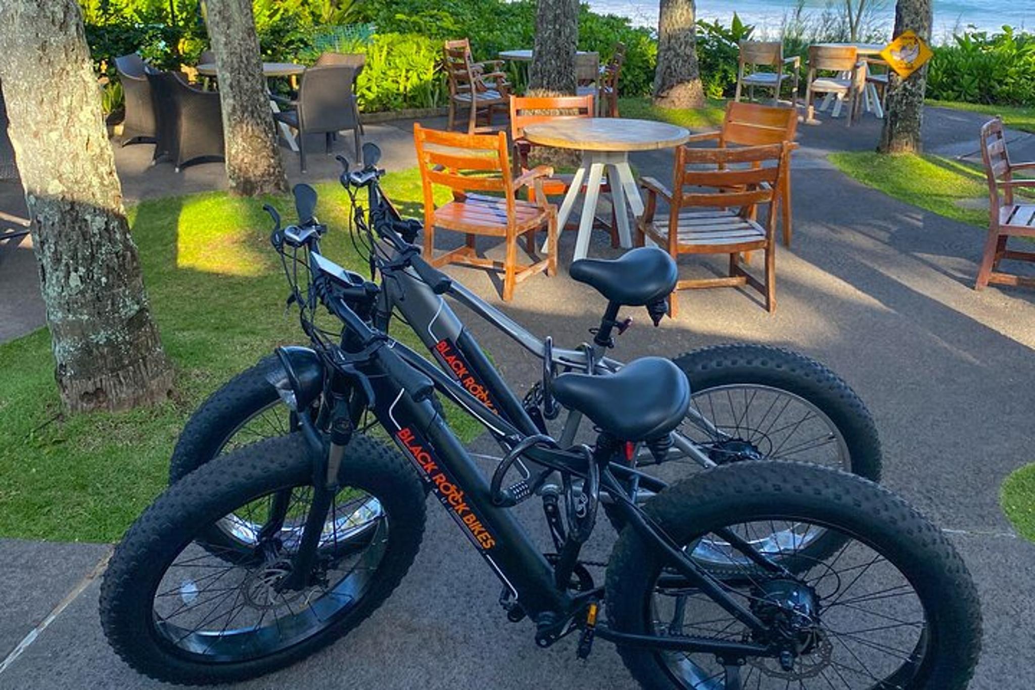 Maui Electric Bike Rentals - Image 5
