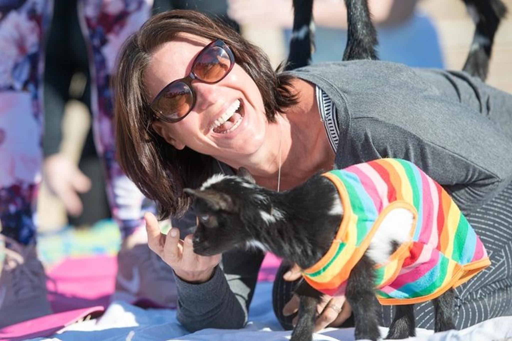 Arizona Goat and Alpaca Yoga - Image 6