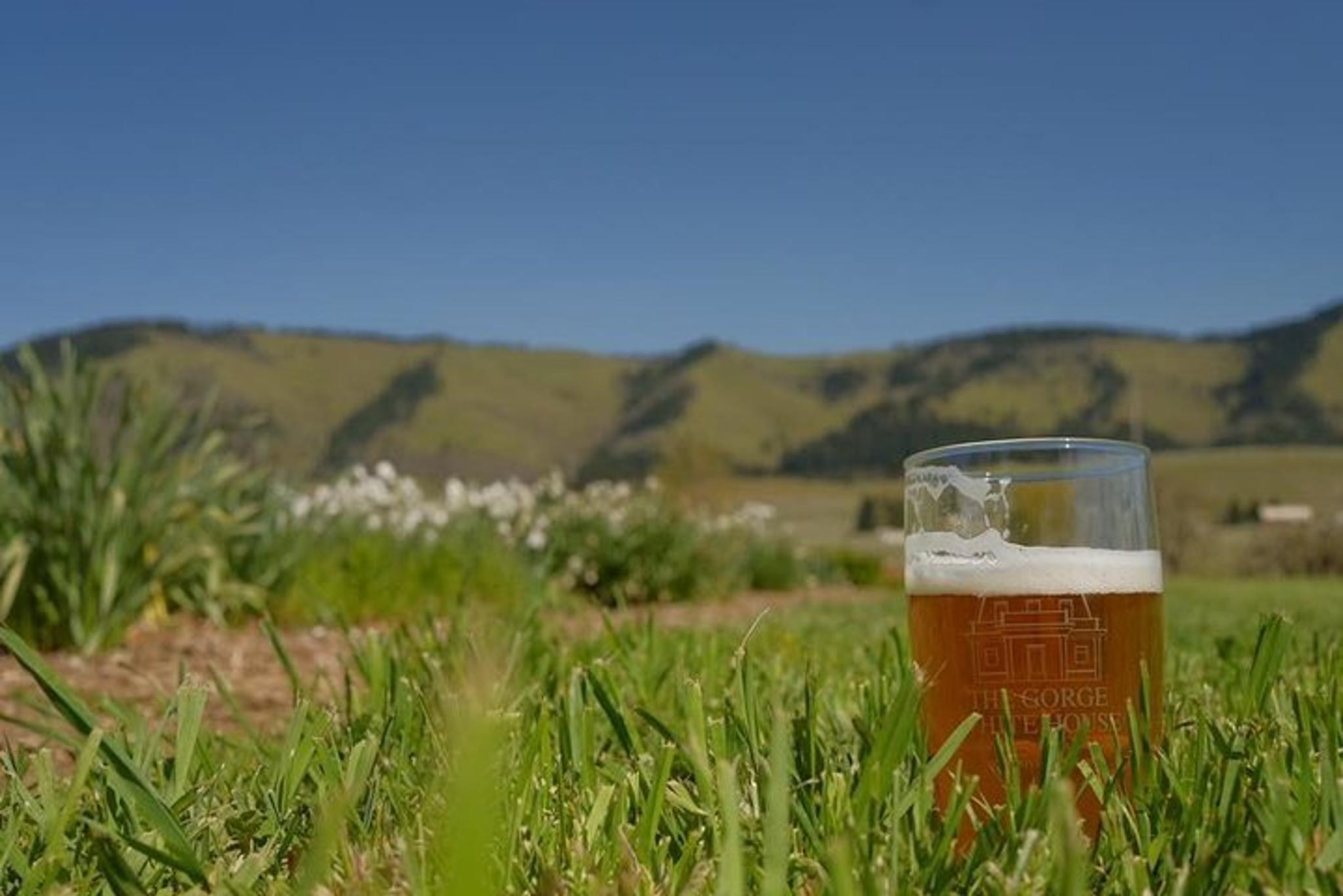 Gorge Ebike Tasting Tour 4 hr - Image 5