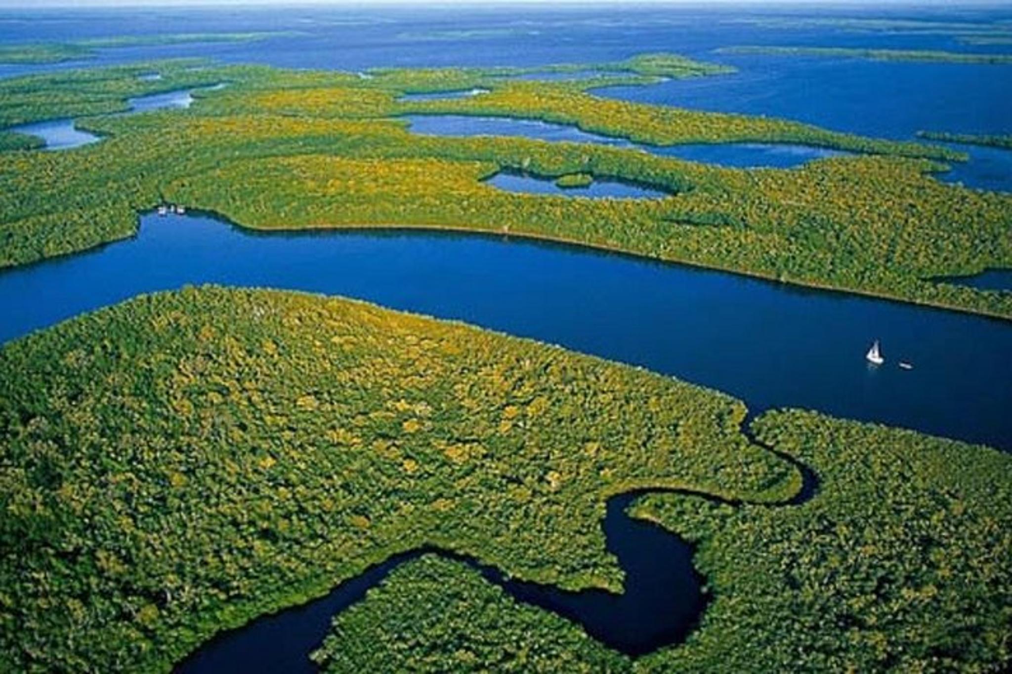 Miami Everglades Airboat Tour 4 hr - Image 3