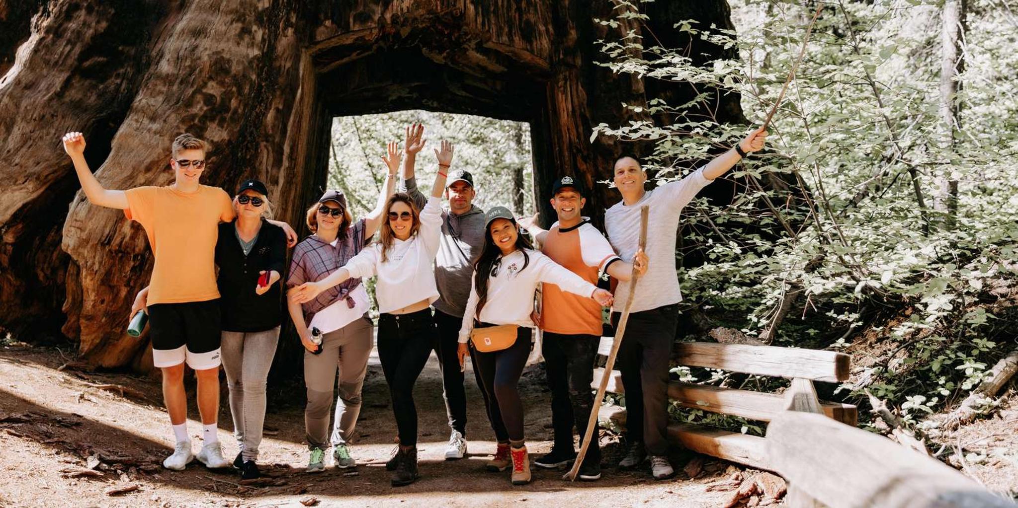 San Jose Yosemite National Park and Giant Sequoias Trip - Image 2